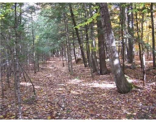 Lot 4 Pound Road Harrison, ME 04040 - Photo 2 of 11 Photo
