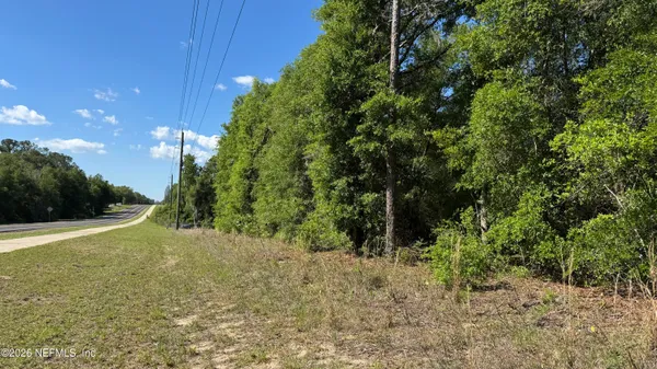 a view of a yard with a tree