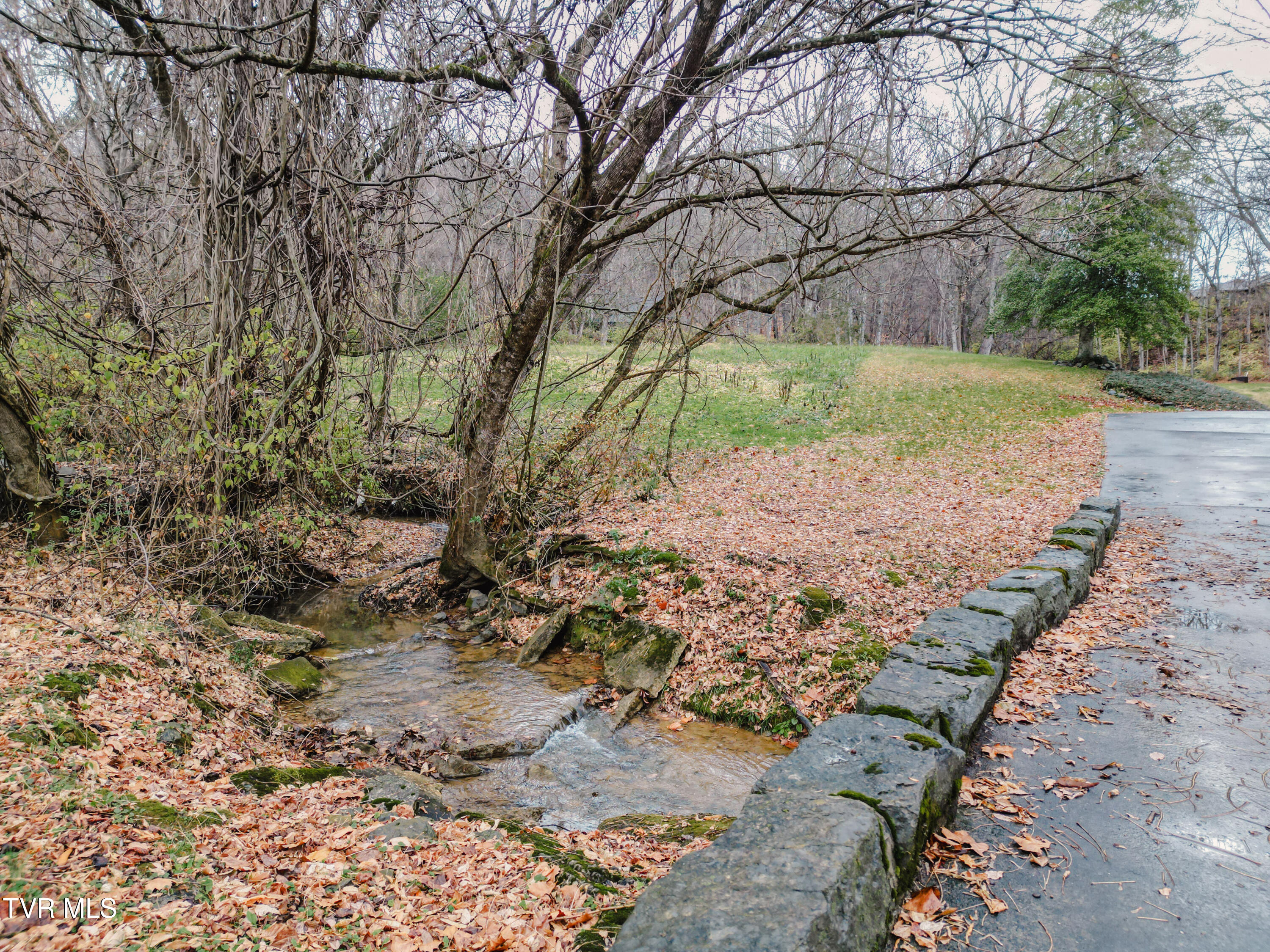 299 South Rufe Taylor Road Greeneville, TN 37745 - Photo 21 of 78 DanielleRickerPhotography-0867