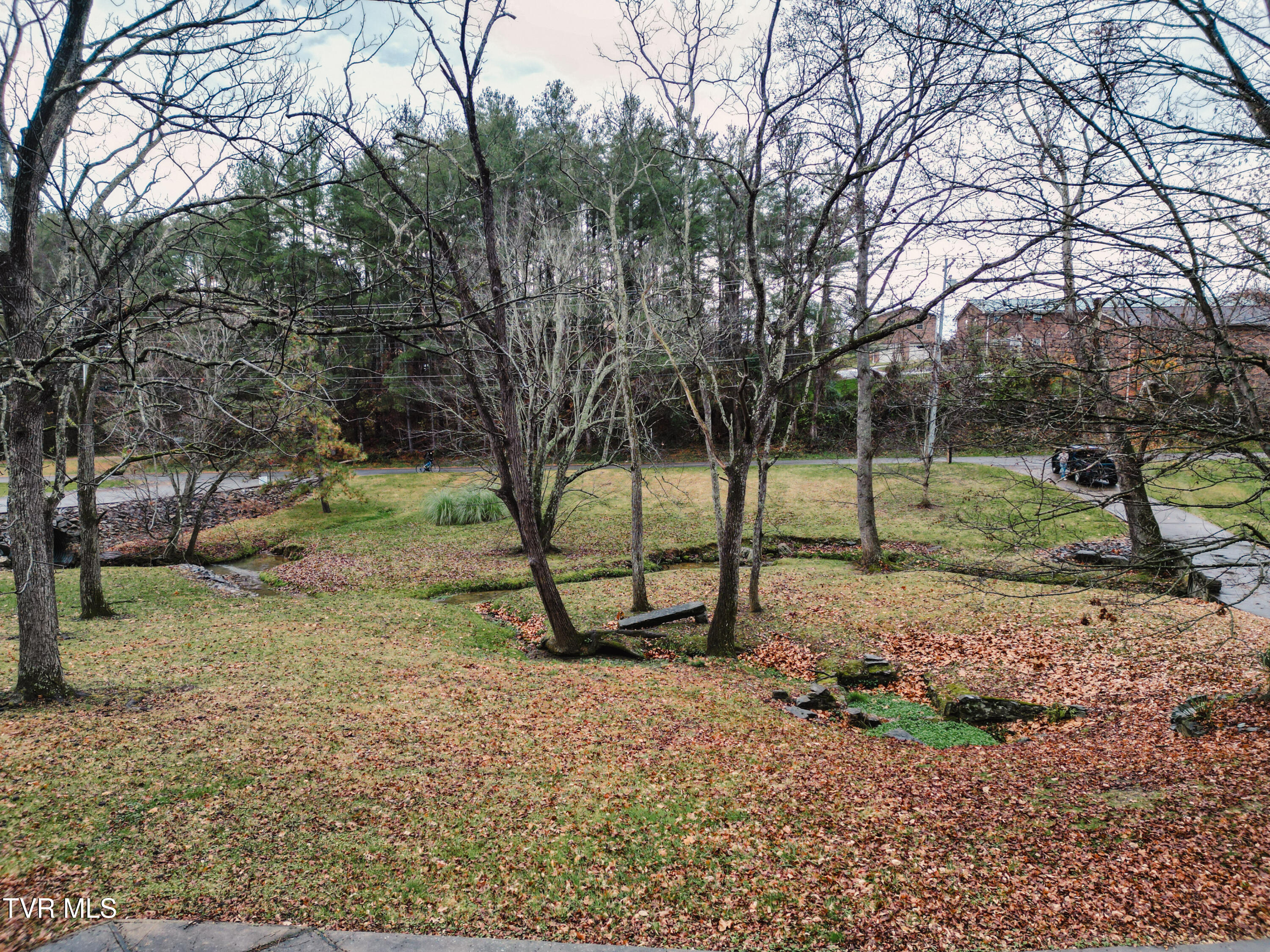 299 South Rufe Taylor Road Greeneville, TN 37745 - Photo 7 of 78 DanielleRickerPhotography-0844