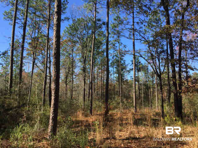 0 Boothtown Road Citronelle, AL 36522 - Photo 8 of 10