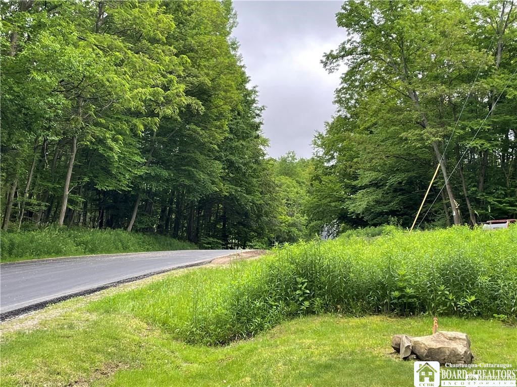 0 Luce Road Bemus Point, NY 14712 - Photo 39 of 39
