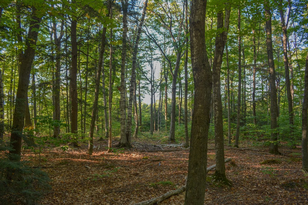 Bluff Pass Egg Harbor, WI 54209 - Photo 10 of 11