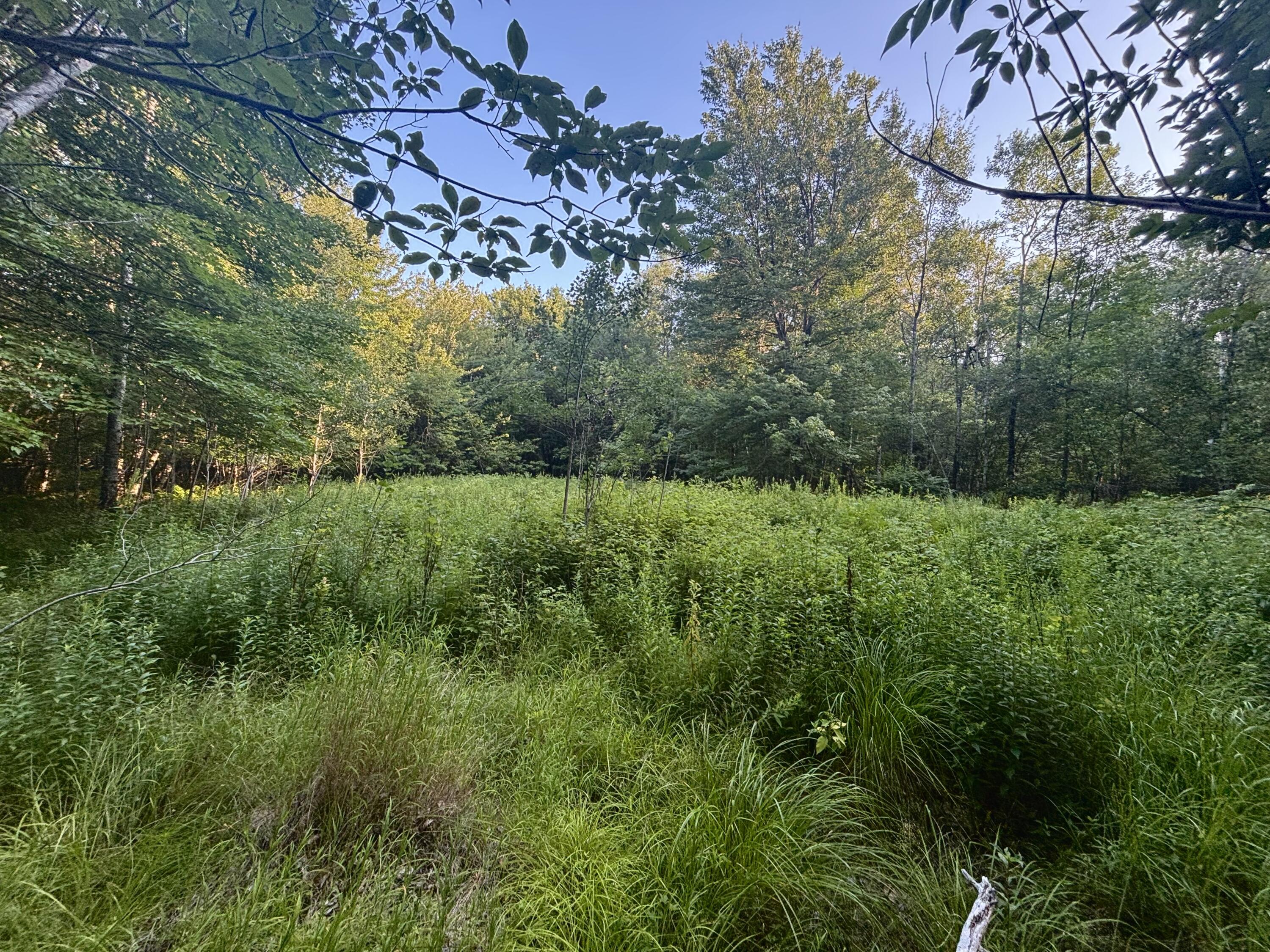 Lot 4-4a South Horseback Road Burnham, ME 04922 - Photo 13 of 19 Near Basford Rd. Gate