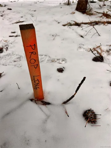 a view of outdoor space with lots of trees