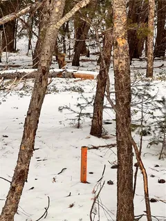 a view of city and mountain