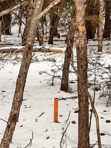 a view of city and mountain