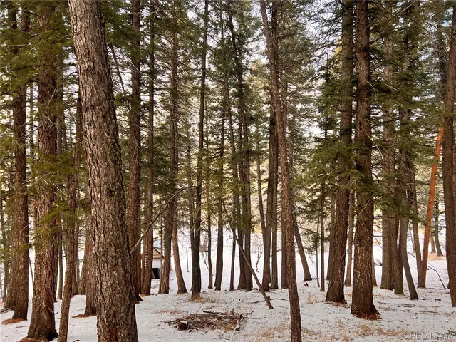 a view of city and mountain