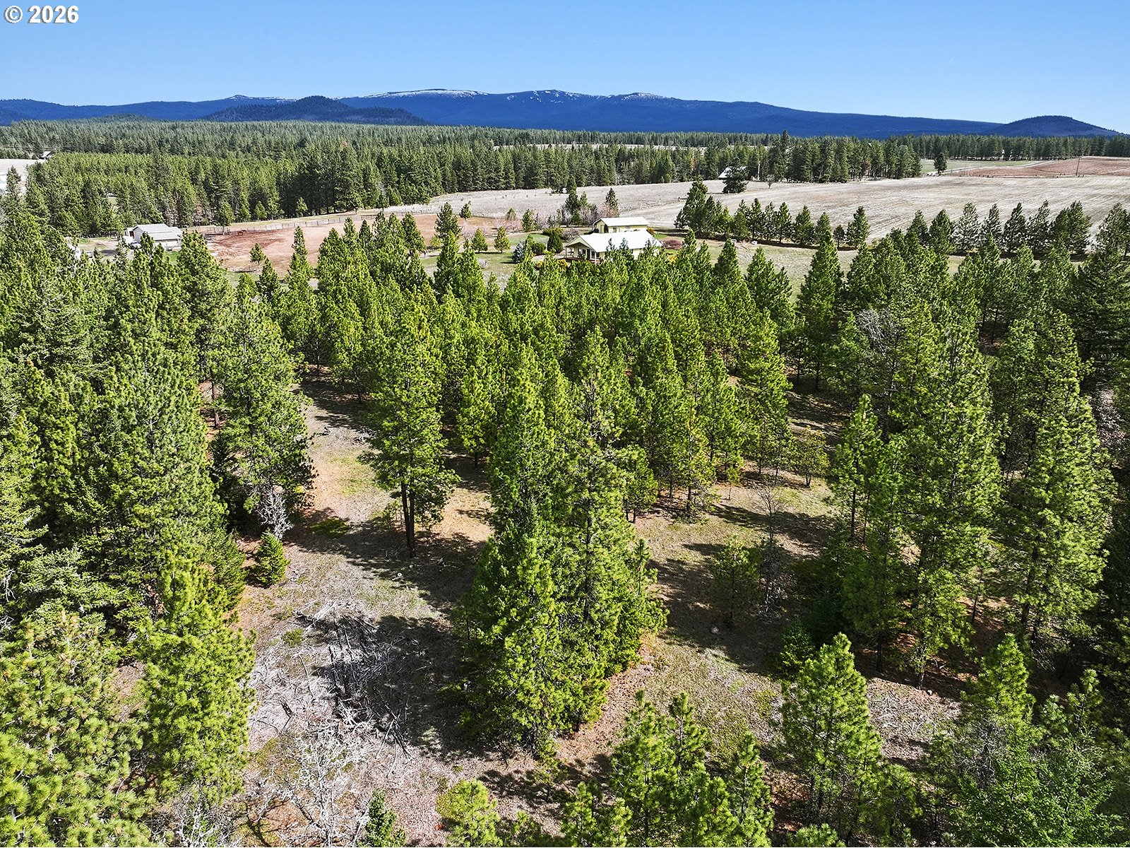 64 Seely Drive Goldendale, WA 98620 - Photo 41 of 46 a view of lake with mountain in the background