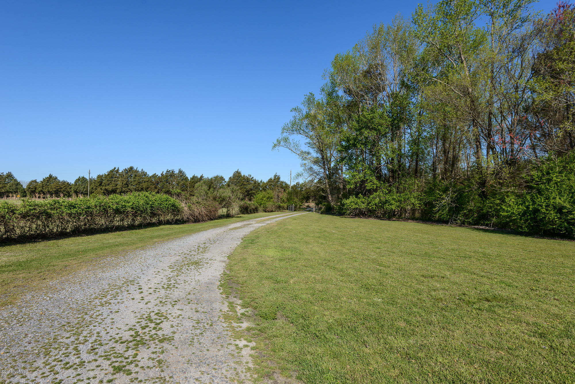 2082 Staton Mill Road Stokes, NC 27884 - Photo 50 of 52 Private and secluded