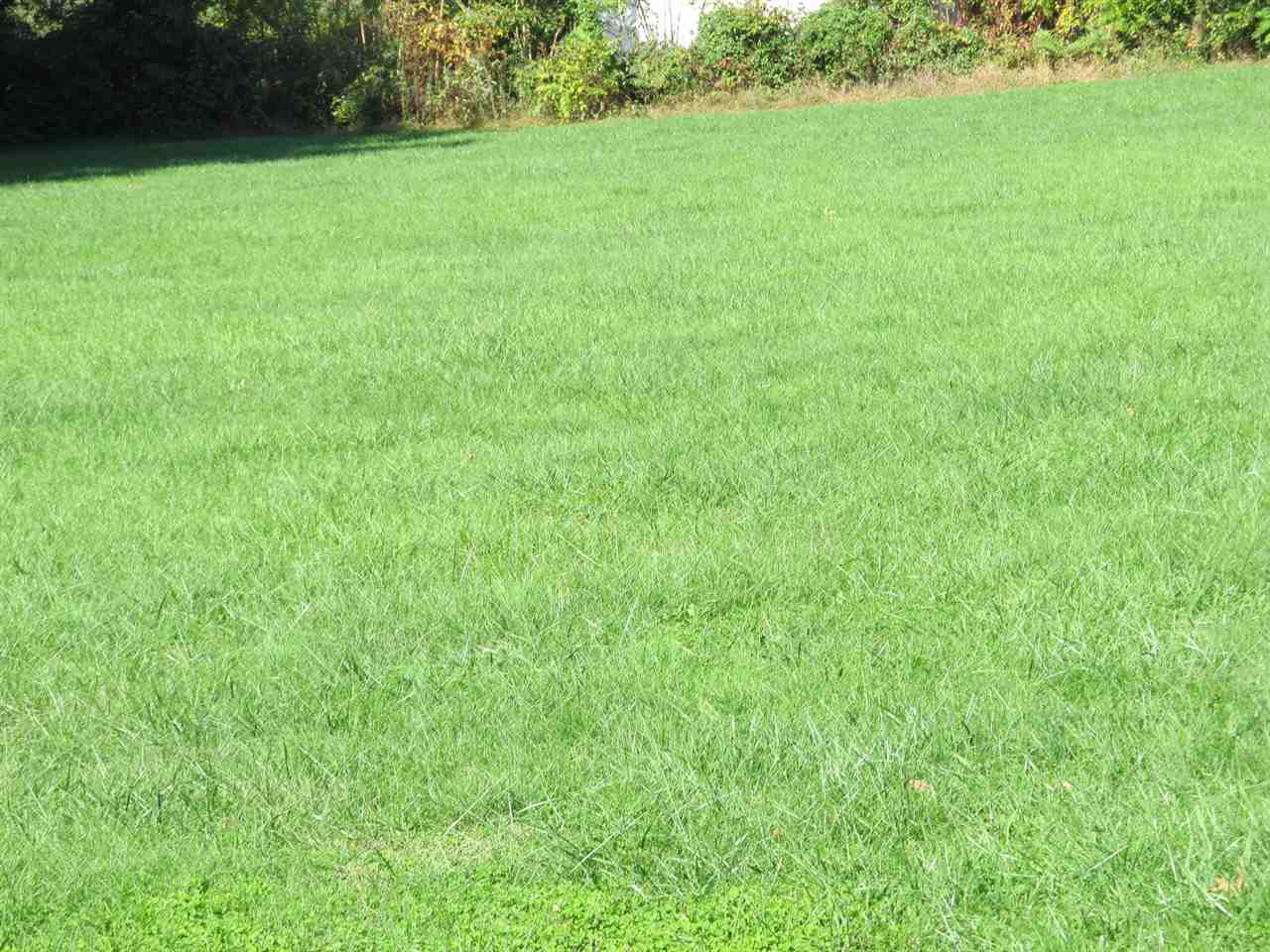 218 Dooms Crossing Road Waynesboro, VA 22980 - Photo 23 of 24 a view of a green yard