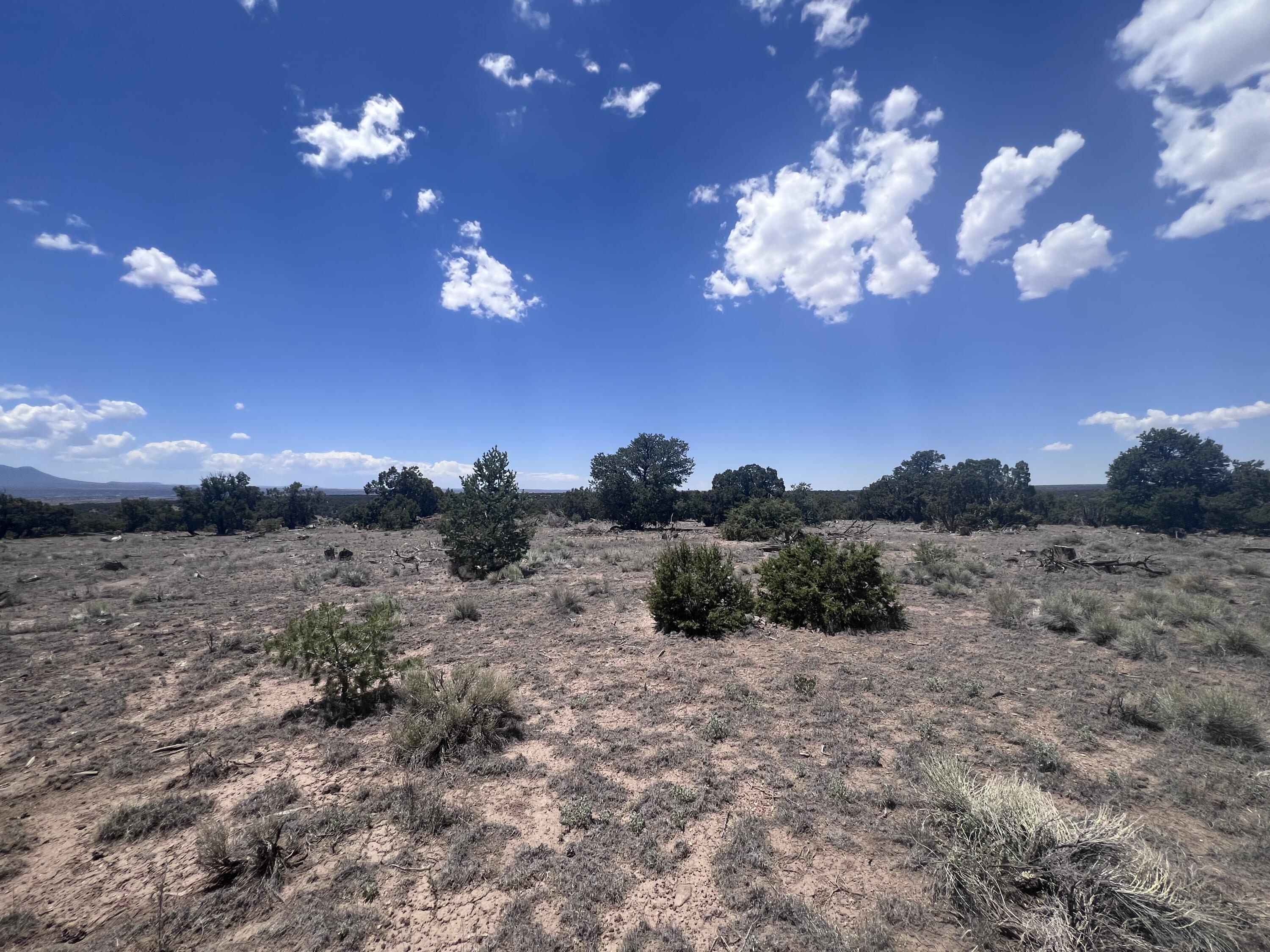 Omega Road Quemado, NM 87829 - Photo 13 of 21 Gallery Image 13