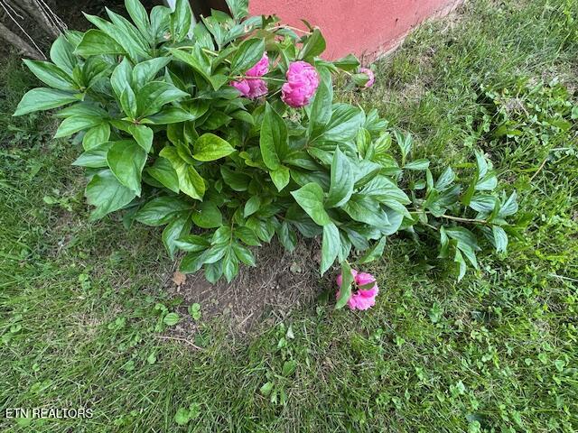 156 Beatty Road Rose Hill, VA 24281 - Photo 9 of 26 IMG_7277