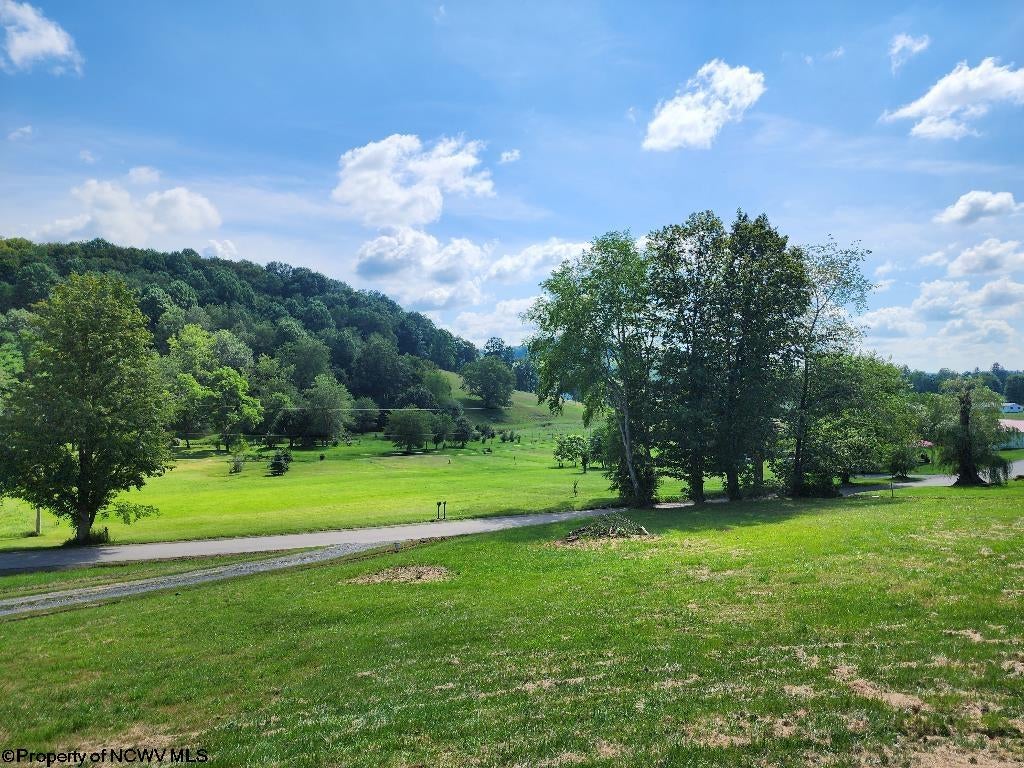 801 Stringtown Road Belington, WV 26250 - Photo 8 of 15 Gallery Image 8