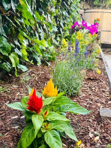 $1,150,000 | 1028 55th Street, Oakland, CA 94608