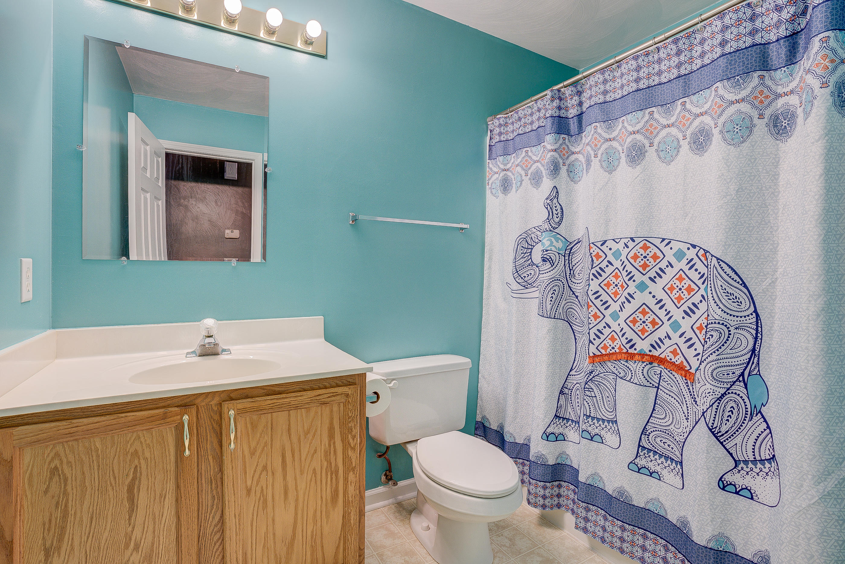4410 Cove Road Roanoke, VA 24017 - Photo 20 of 32 a bathroom with a sink and toilet