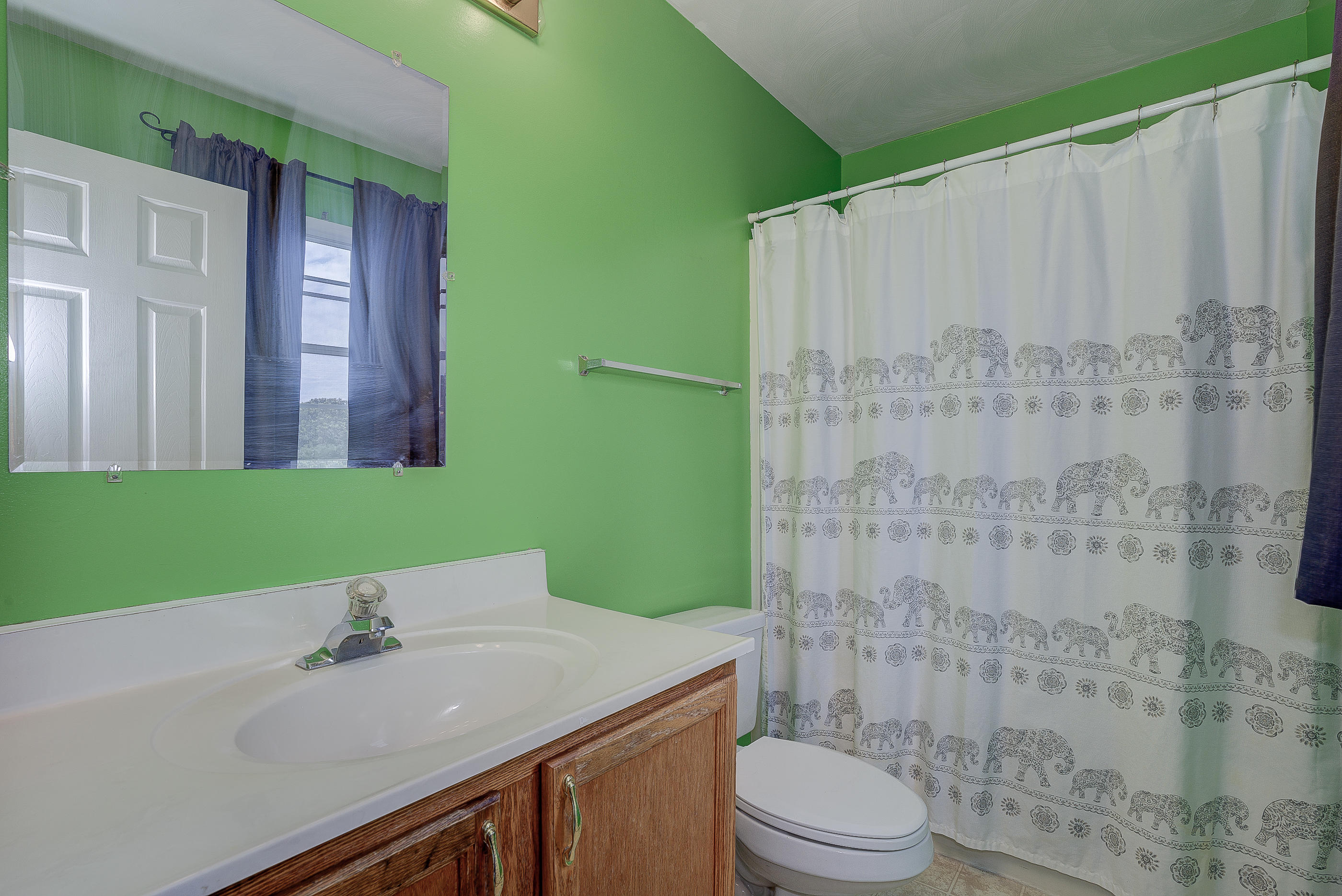 4410 Cove Road Roanoke, VA 24017 - Photo 21 of 32 a bathroom with a sink a toilet and shower