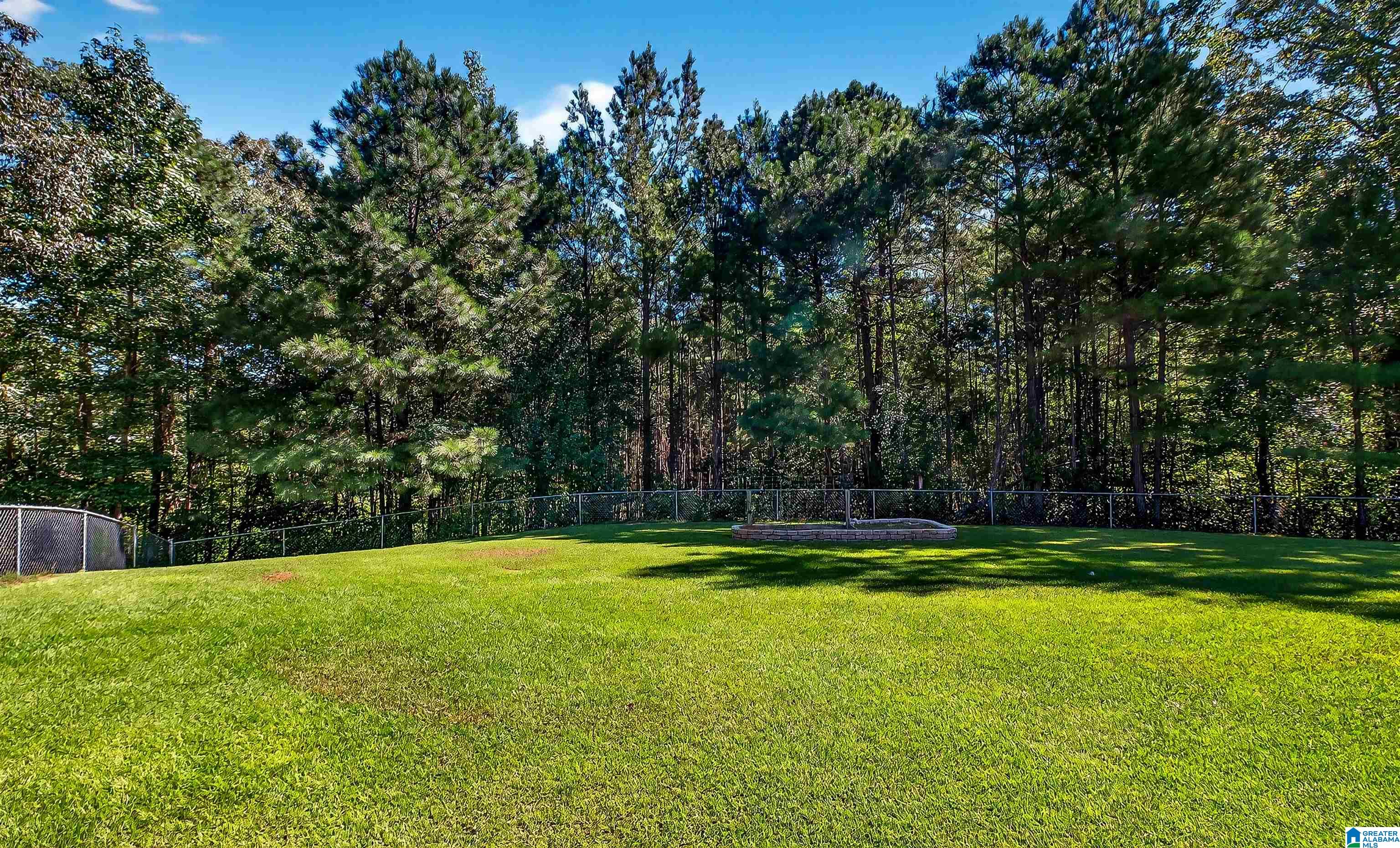 6373 Mays Bend Road Pell City, AL 35128 - Photo 42 of 58