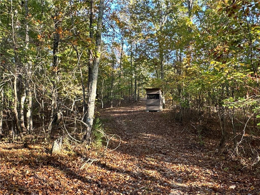 1806 Browning Road Rockmart, GA 30153 - Photo 53 of 97