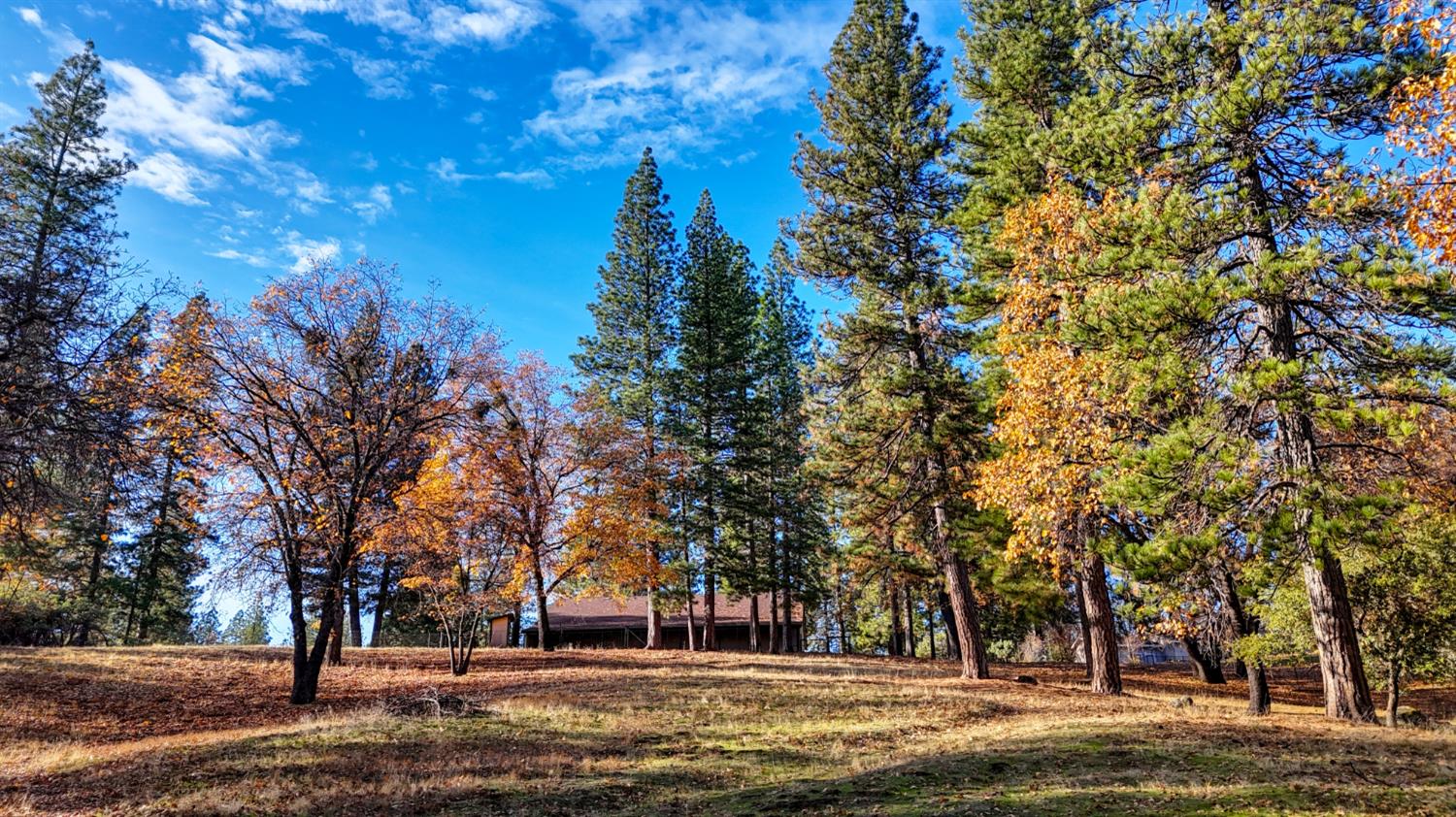 5271 Consumnes Mine Road Somerset, CA 95684 - Photo 23 of 48