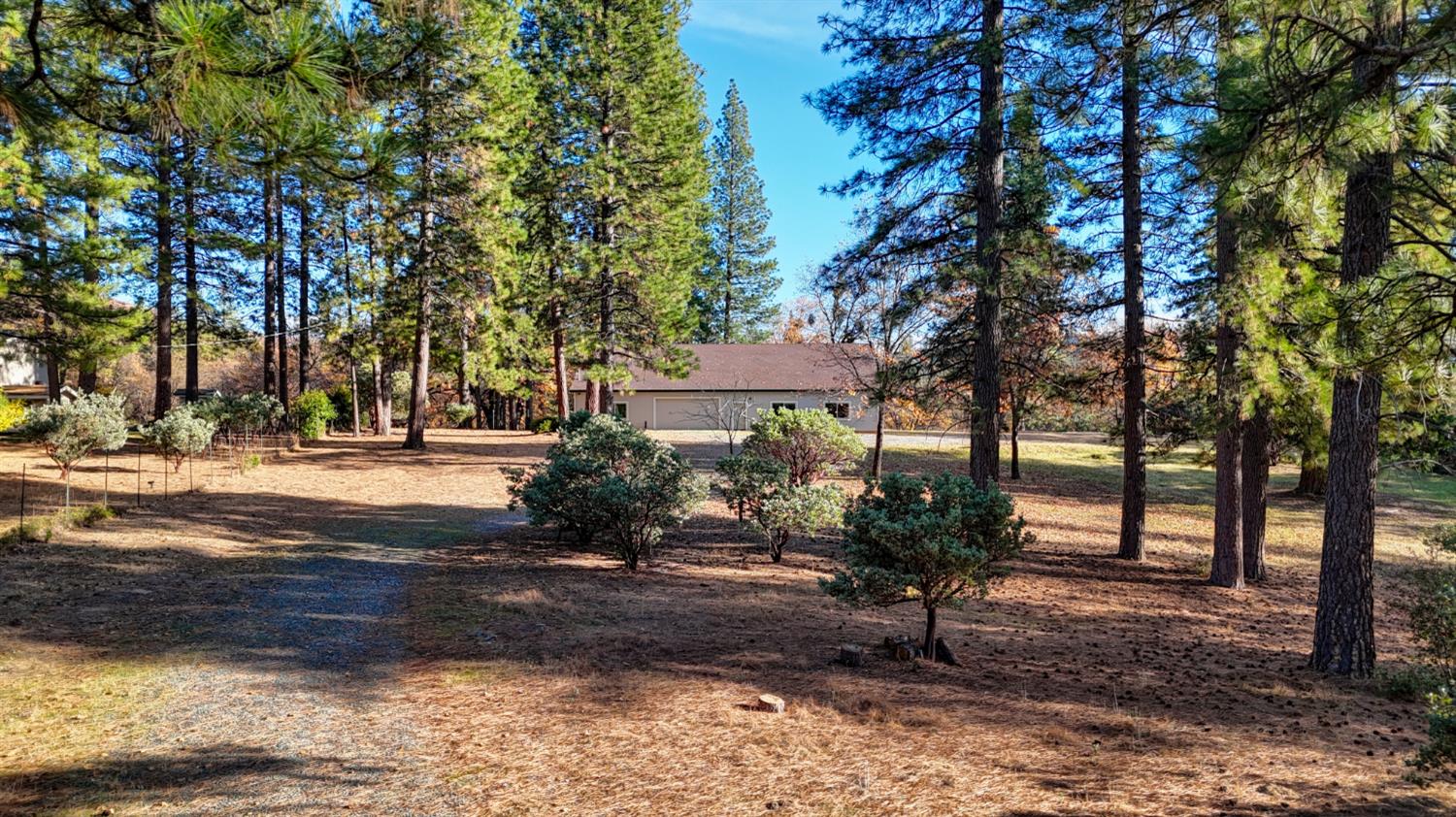 5271 Consumnes Mine Road Somerset, CA 95684 - Photo 3 of 48