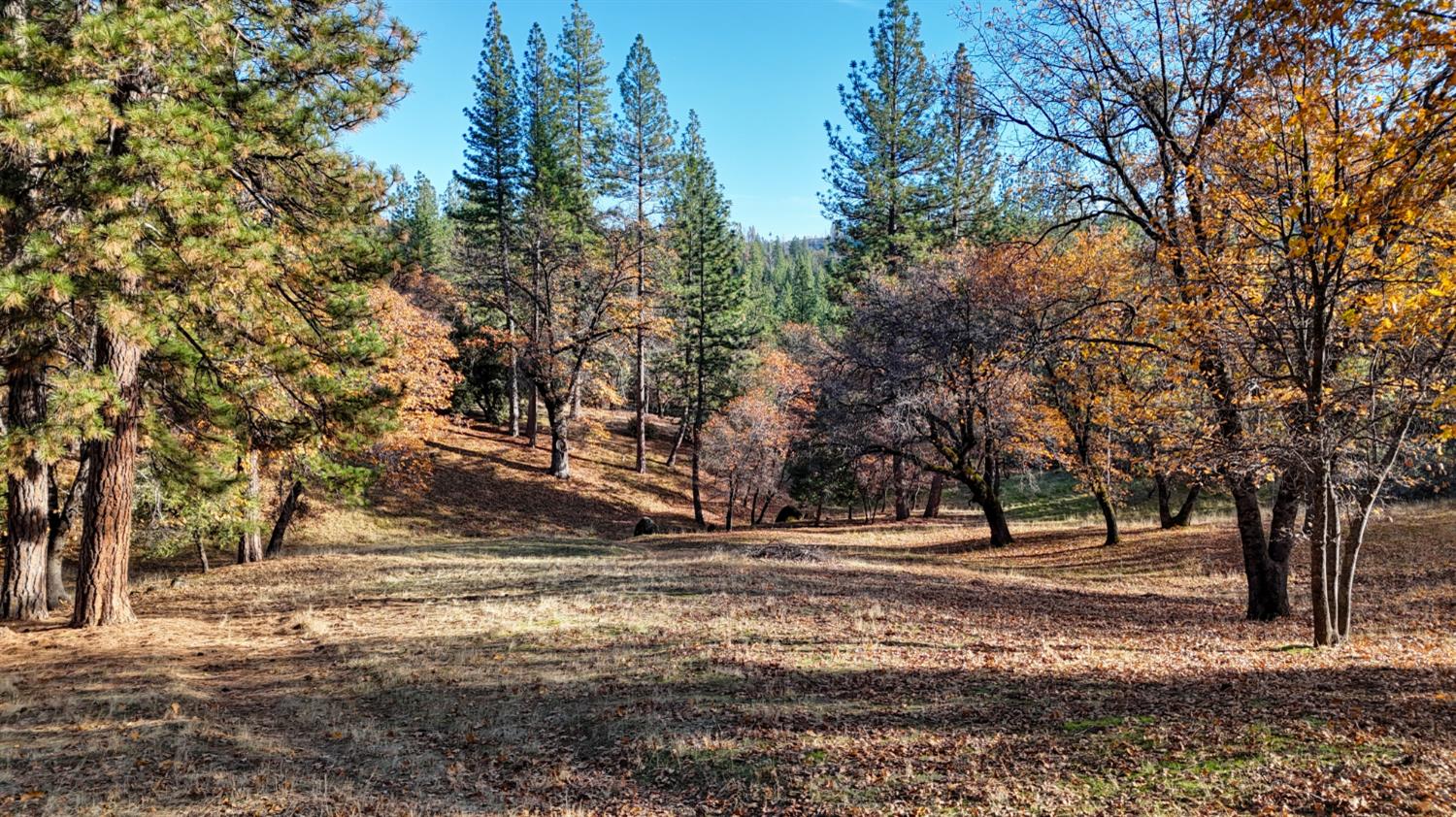 5271 Consumnes Mine Road Somerset, CA 95684 - Photo 31 of 48