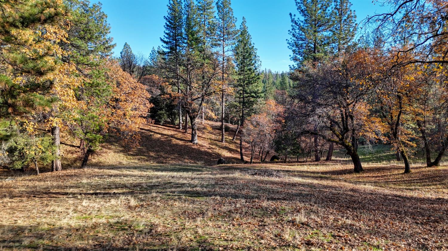 5271 Consumnes Mine Road Somerset, CA 95684 - Photo 32 of 48