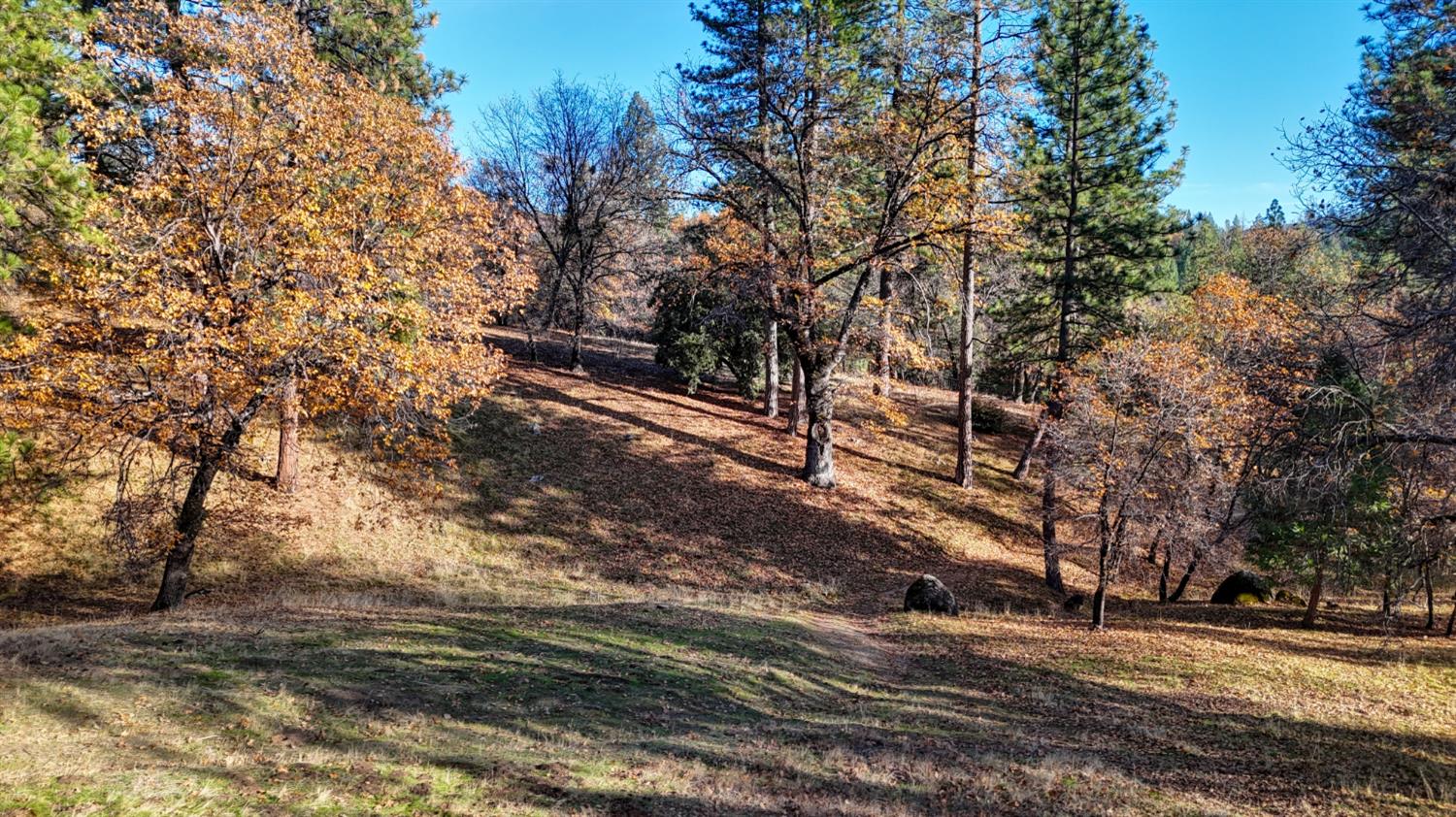 5271 Consumnes Mine Road Somerset, CA 95684 - Photo 33 of 48