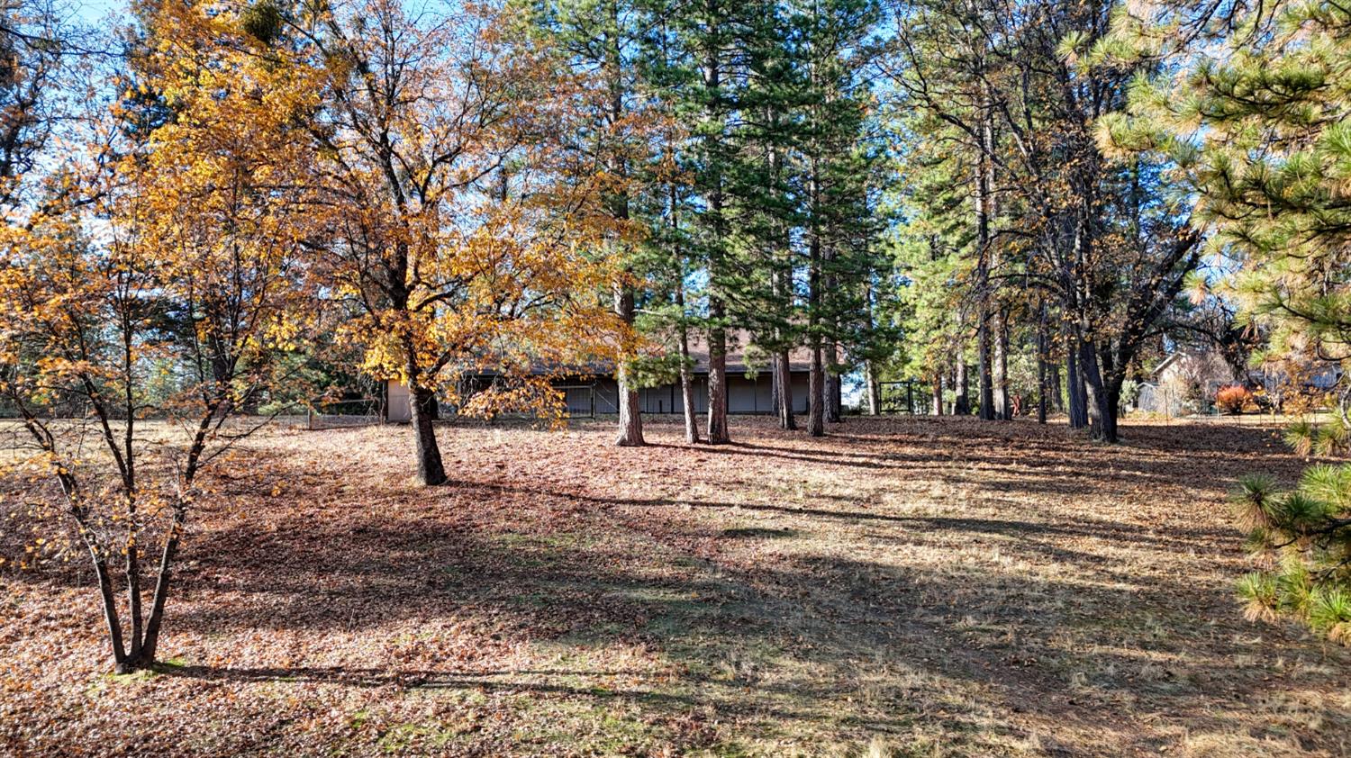 5271 Consumnes Mine Road Somerset, CA 95684 - Photo 35 of 48