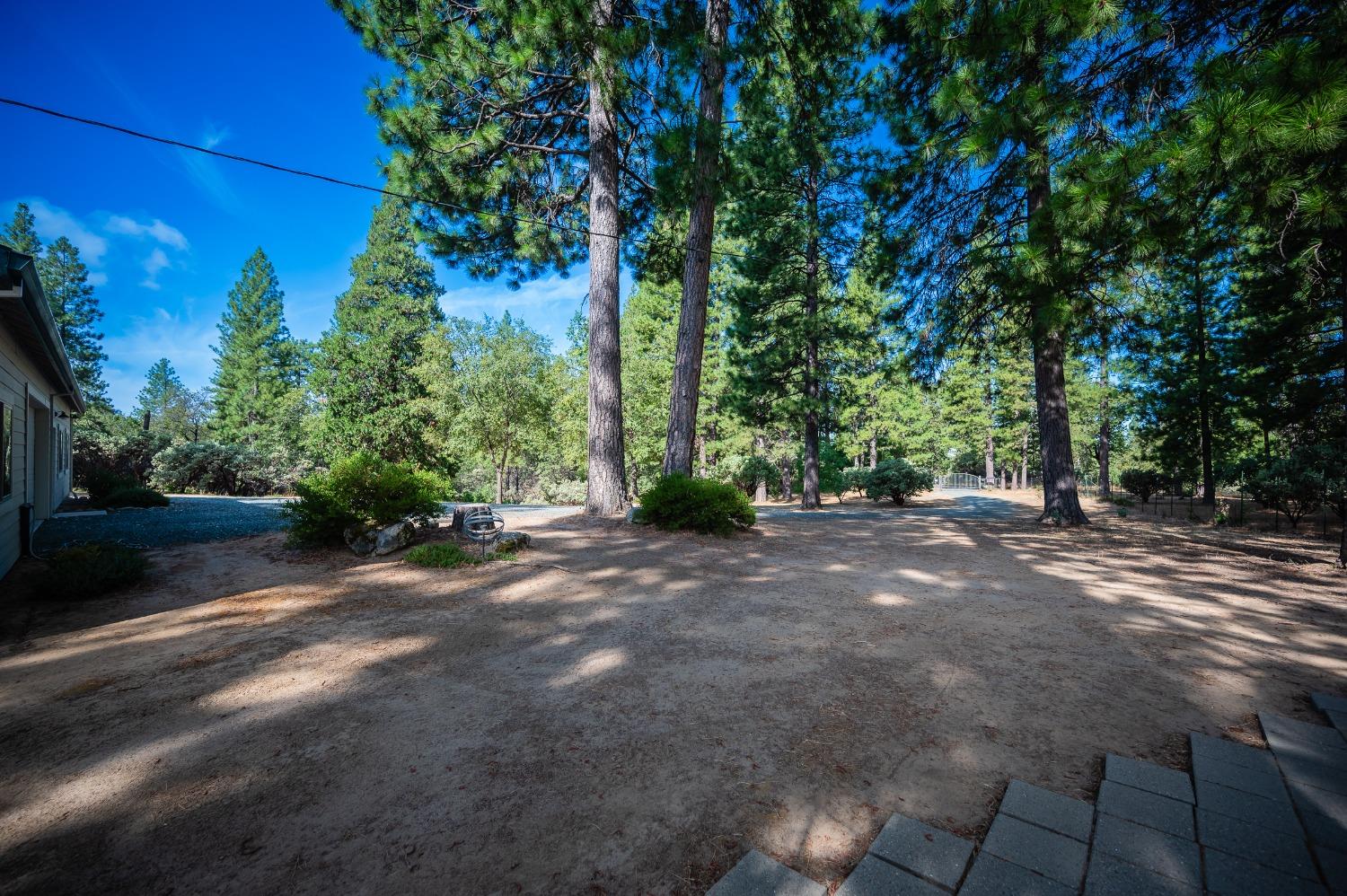 5271 Consumnes Mine Road Somerset, CA 95684 - Photo 44 of 48