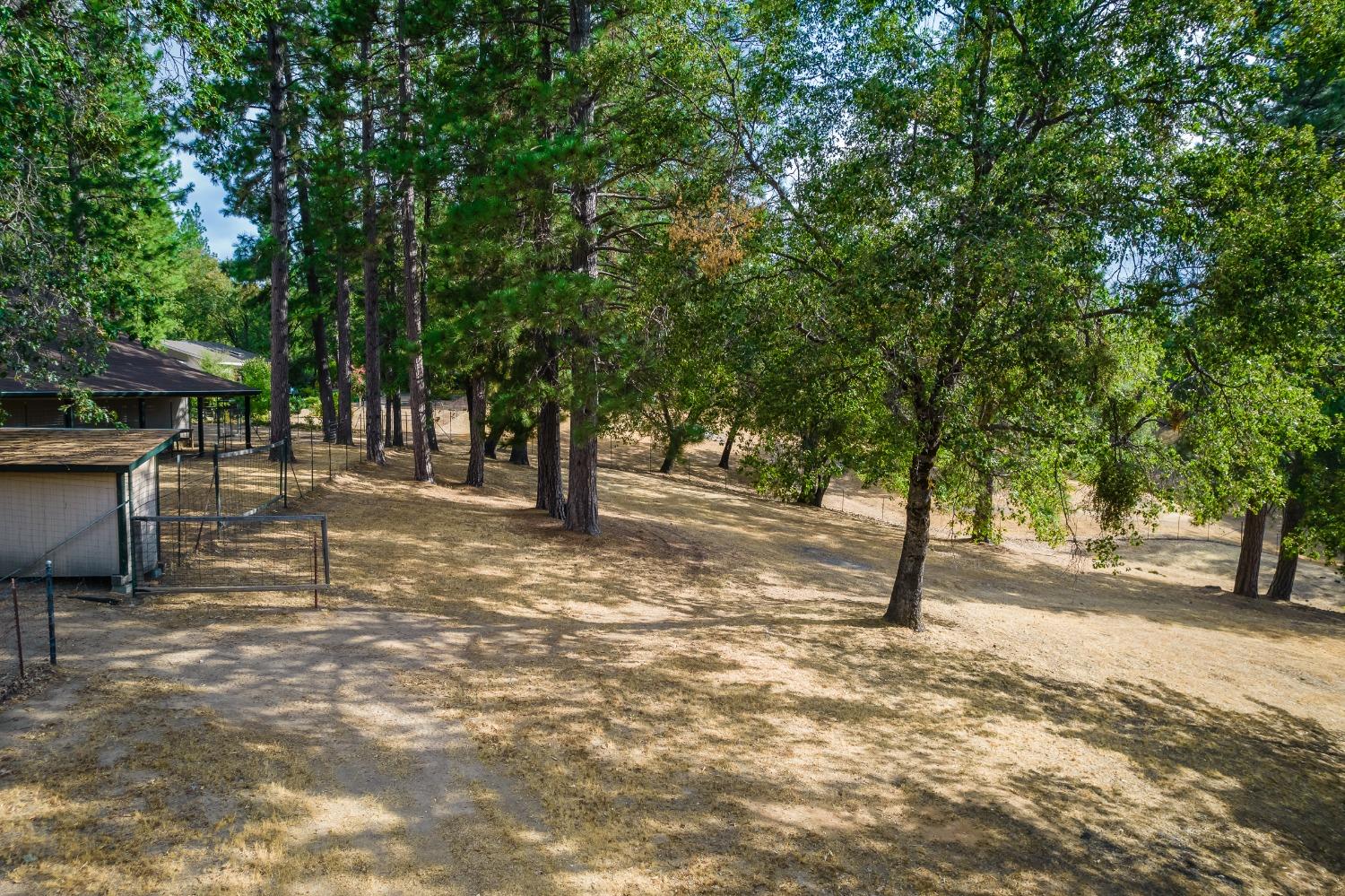 5271 Consumnes Mine Road Somerset, CA 95684 - Photo 45 of 48