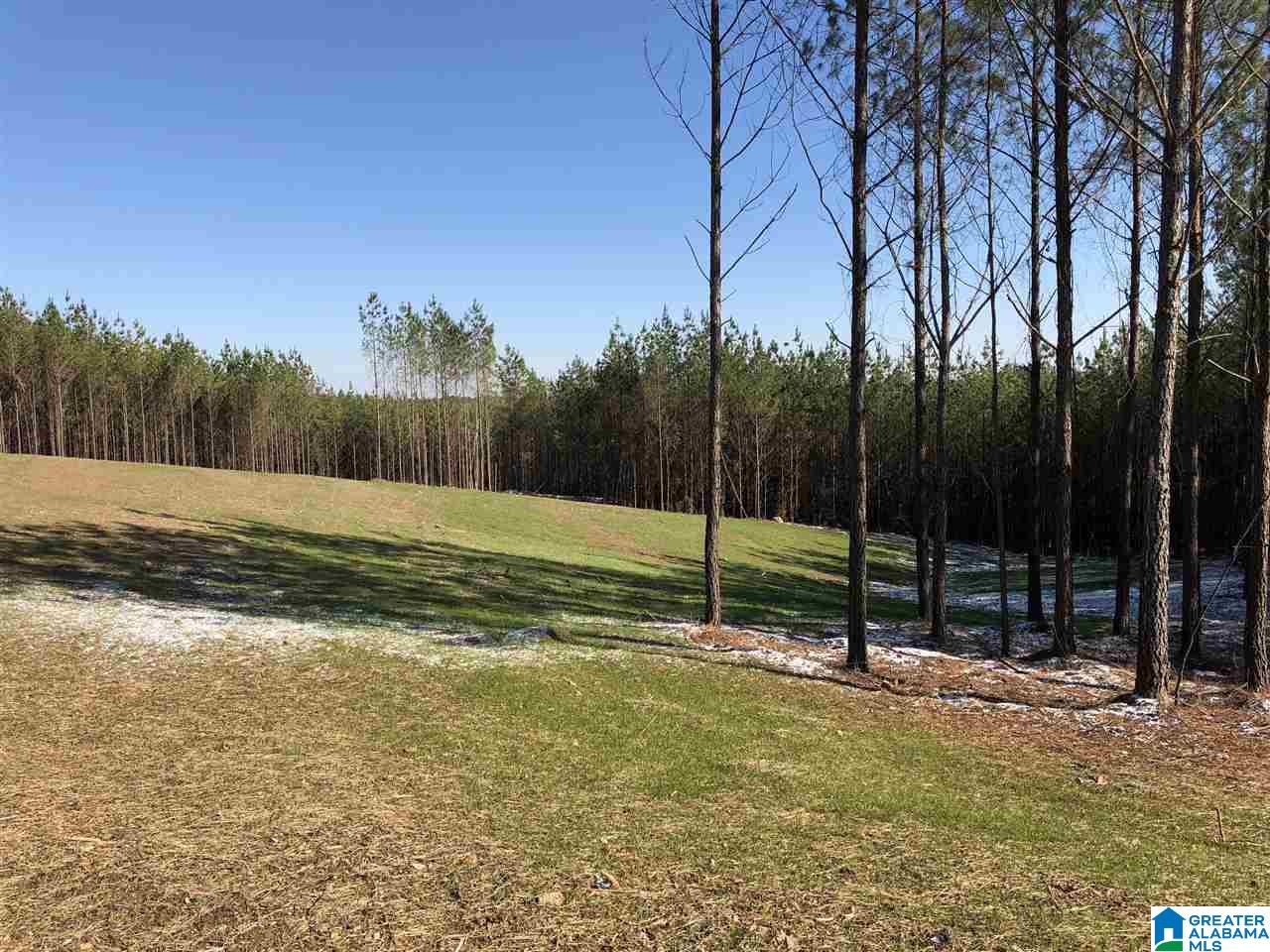 282 Highway 69, Unit 9 Chelsea, AL 35043 - Photo 4 of 7