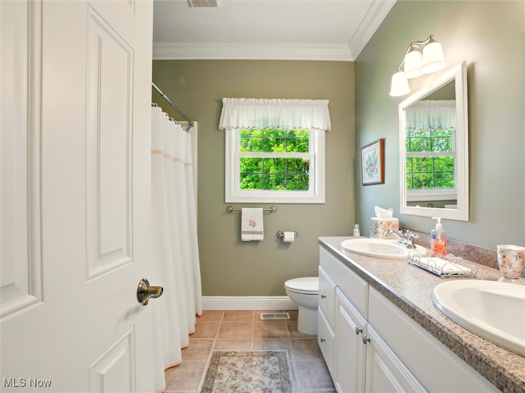 4440 Rutledge Avenue Ashtabula, OH 44004 - Photo 17 of 50 Bathroom featuring plenty of natural light, double vanity, ornamental molding, tile patterned flooring, and a shower with shower curtain