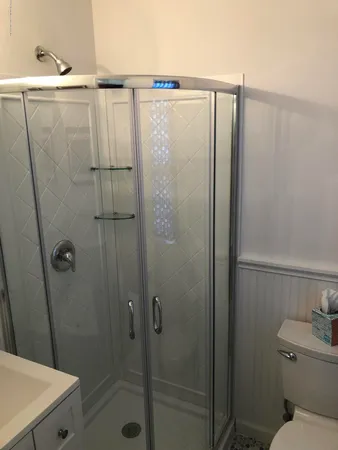 a bathroom with a shower and a toilet
