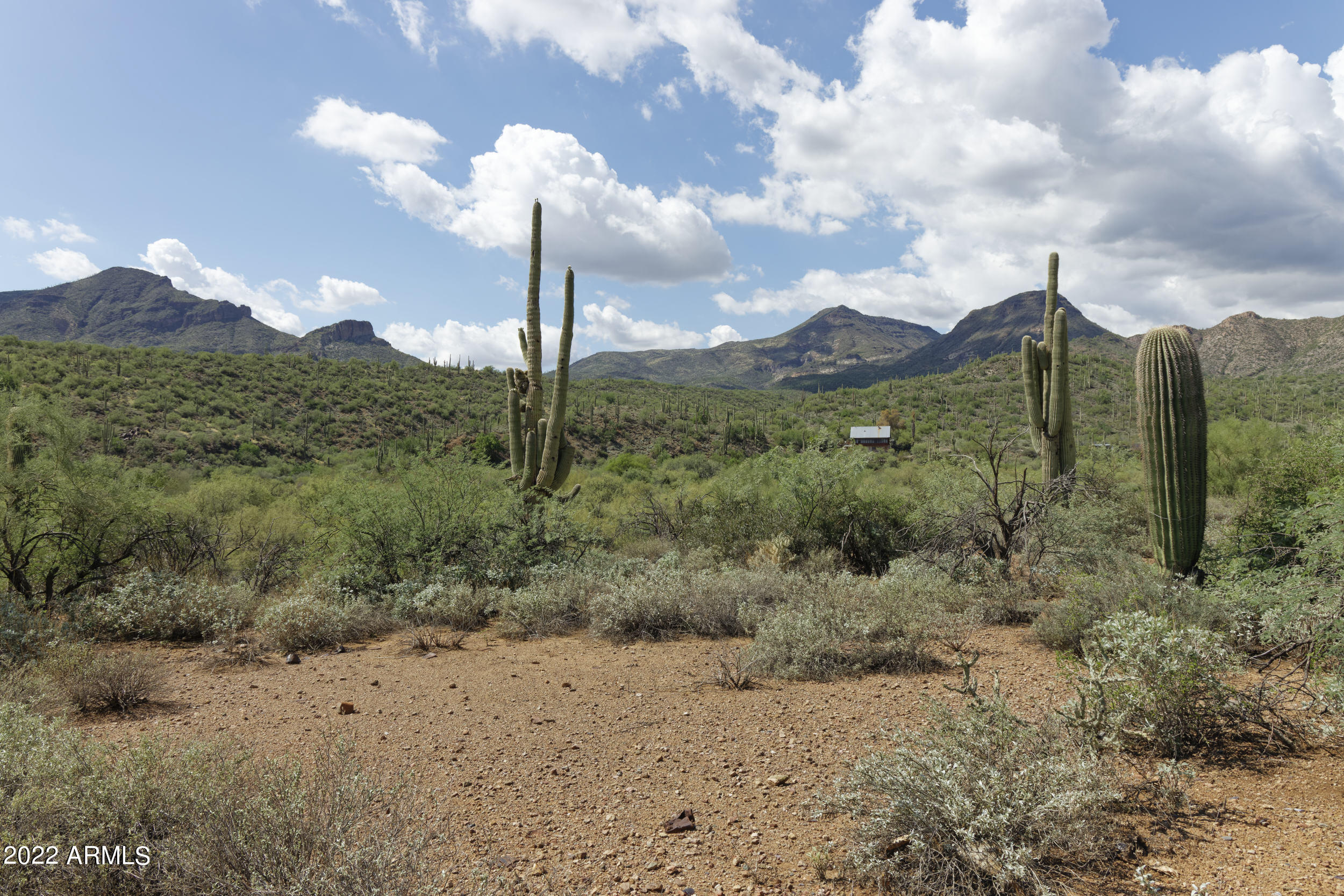 44138 North Spur Cross Road Cave Creek, AZ 85331 - Photo 6 of 9 _07A0931_DxO