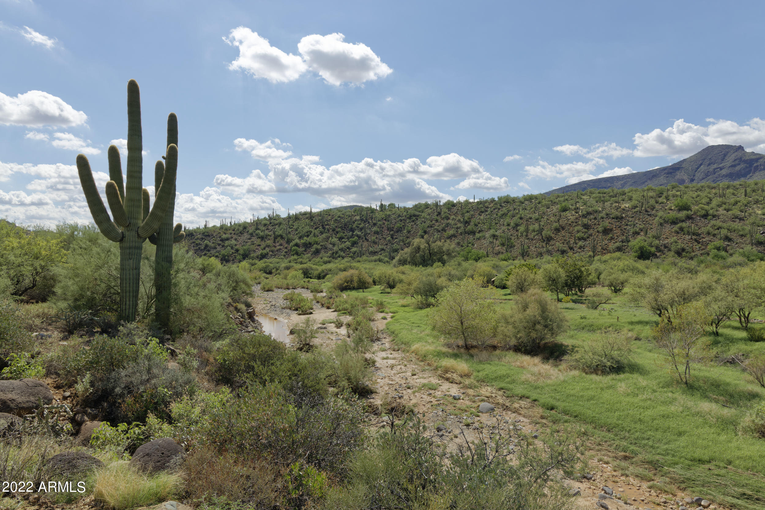 44138 North Spur Cross Road Cave Creek, AZ 85331 - Photo 7 of 9 _07A0936_DxO