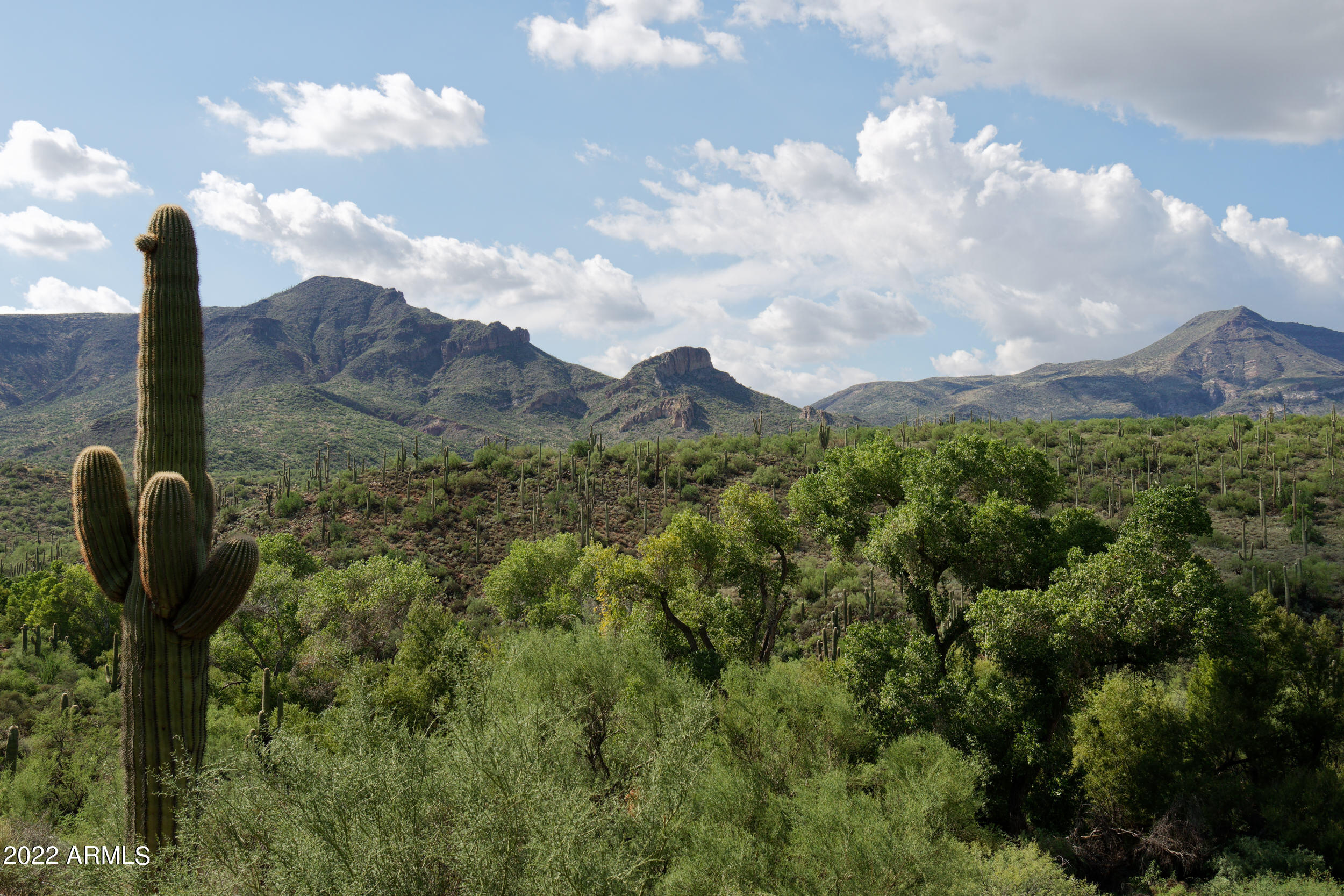 44138 North Spur Cross Road Cave Creek, AZ 85331 - Photo 9 of 9 View from property