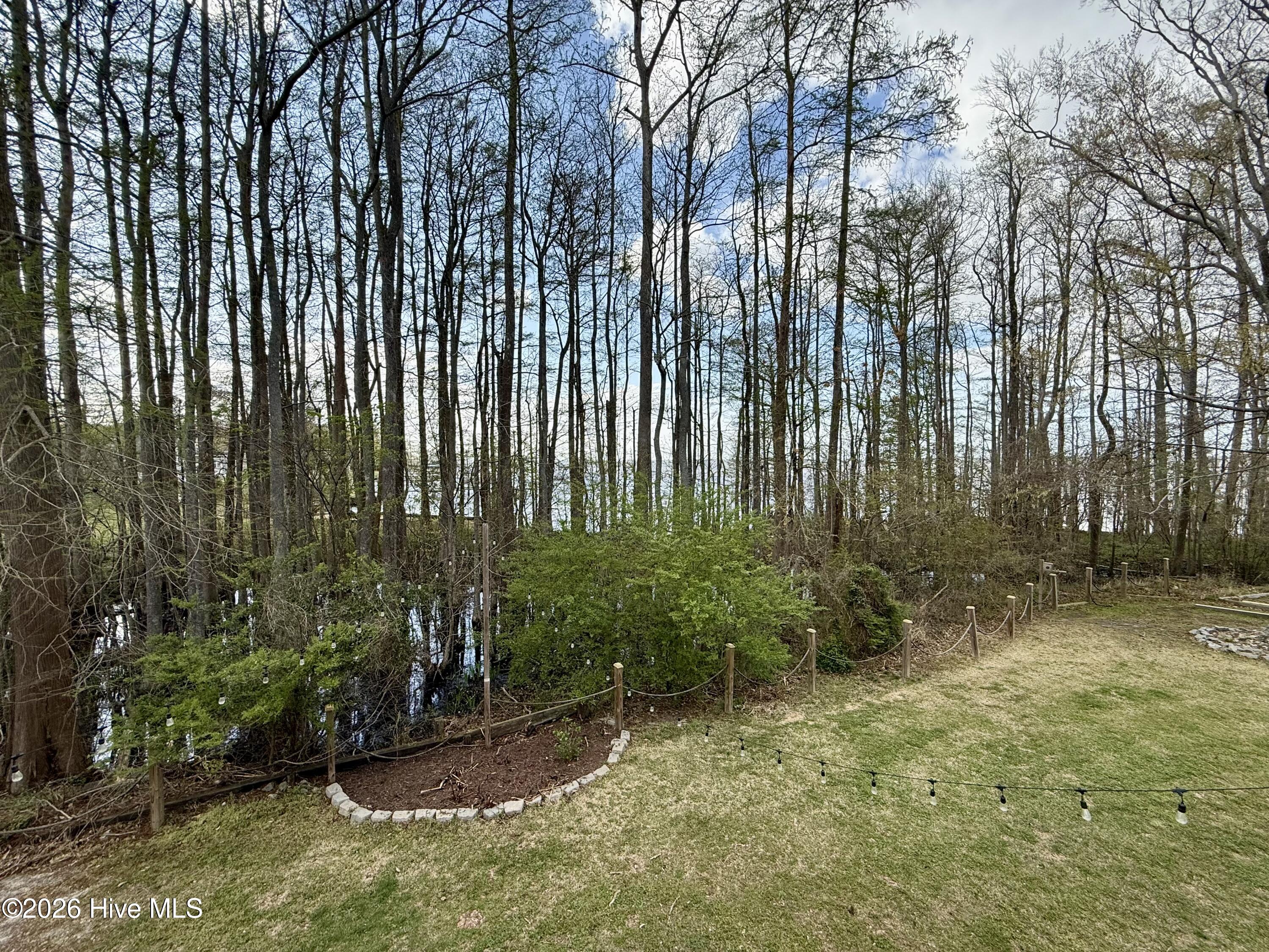 380 Beech Bay Road Roper, NC 27970 - Photo 57 of 85 IMG_8986