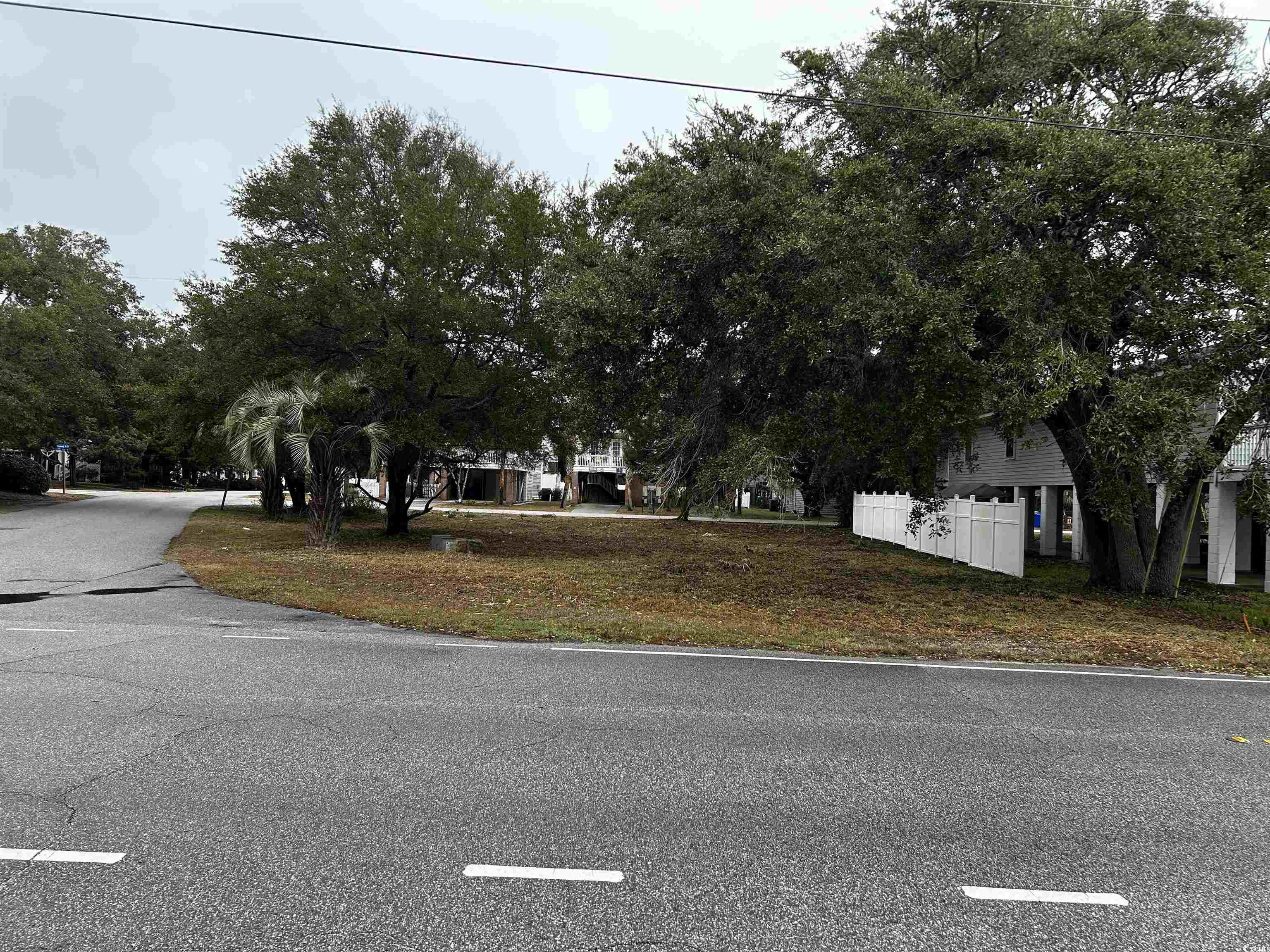 119 6th Avenue North Surfside Beach, SC 29575 - Photo 11 of 19 View of road