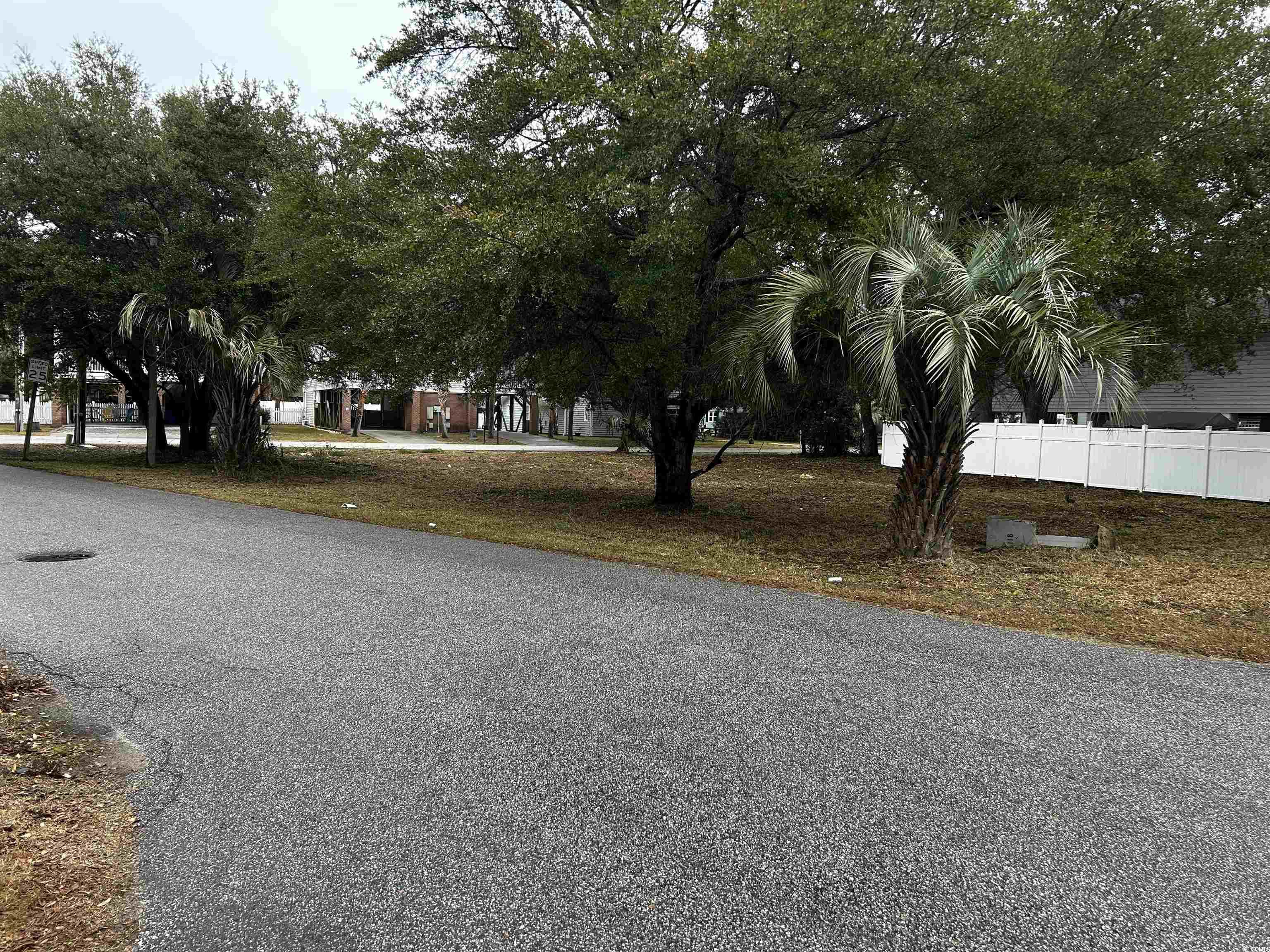 119 6th Avenue North Surfside Beach, SC 29575 - Photo 13 of 19 View of road
