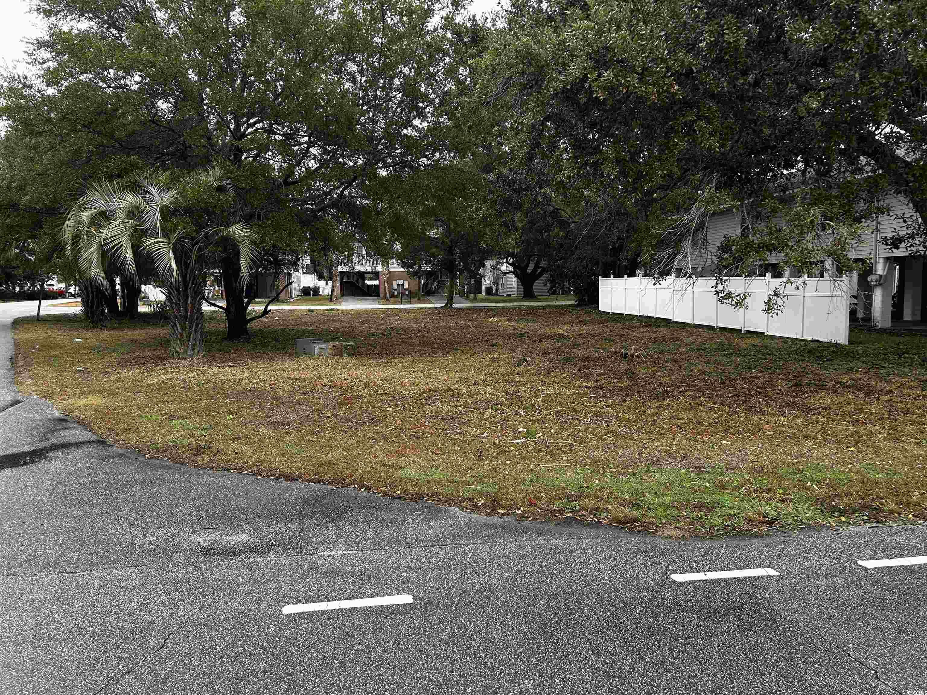 119 6th Avenue North Surfside Beach, SC 29575 - Photo 16 of 19 View of road