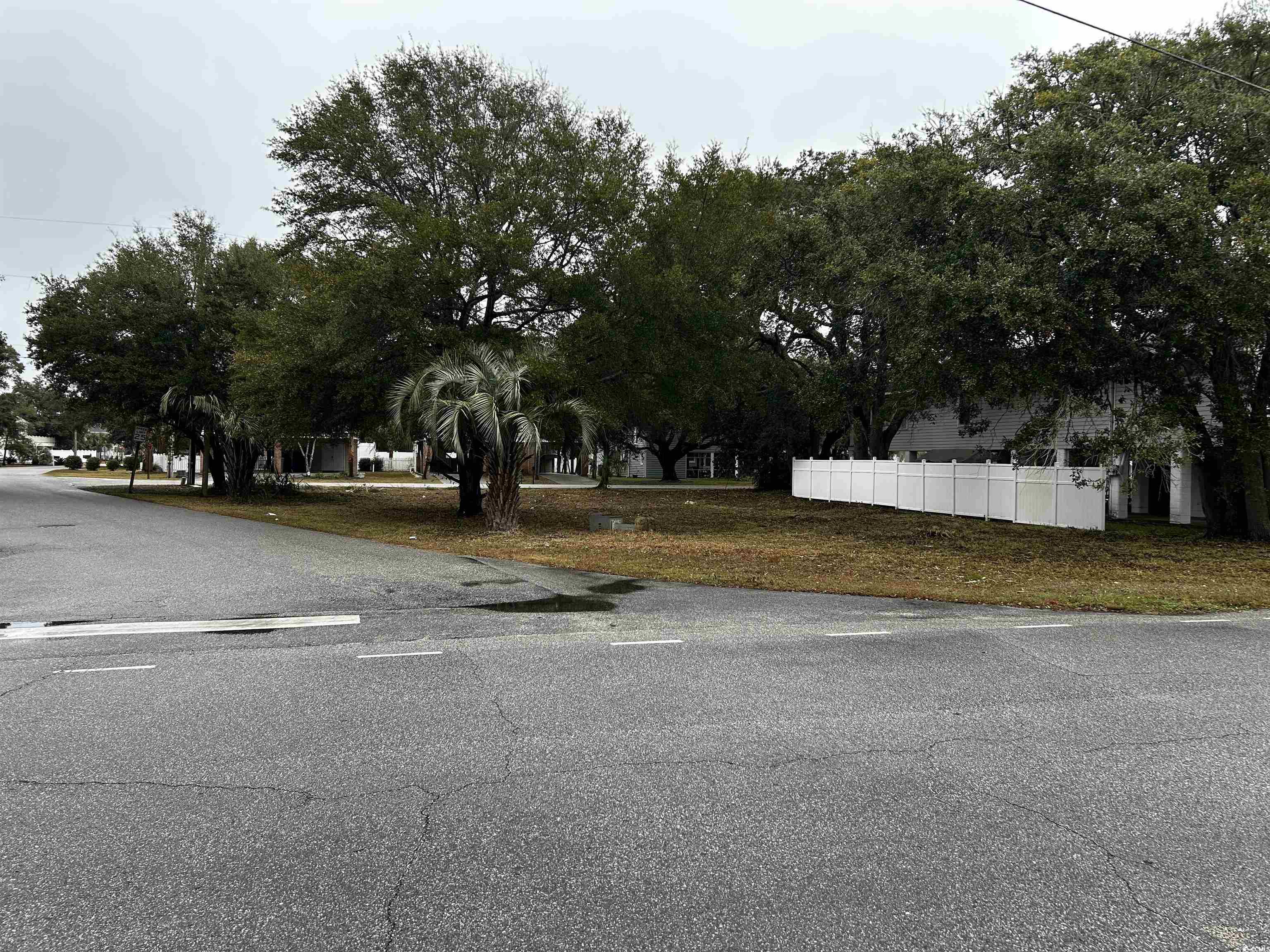 119 6th Avenue North Surfside Beach, SC 29575 - Photo 17 of 19 View of street