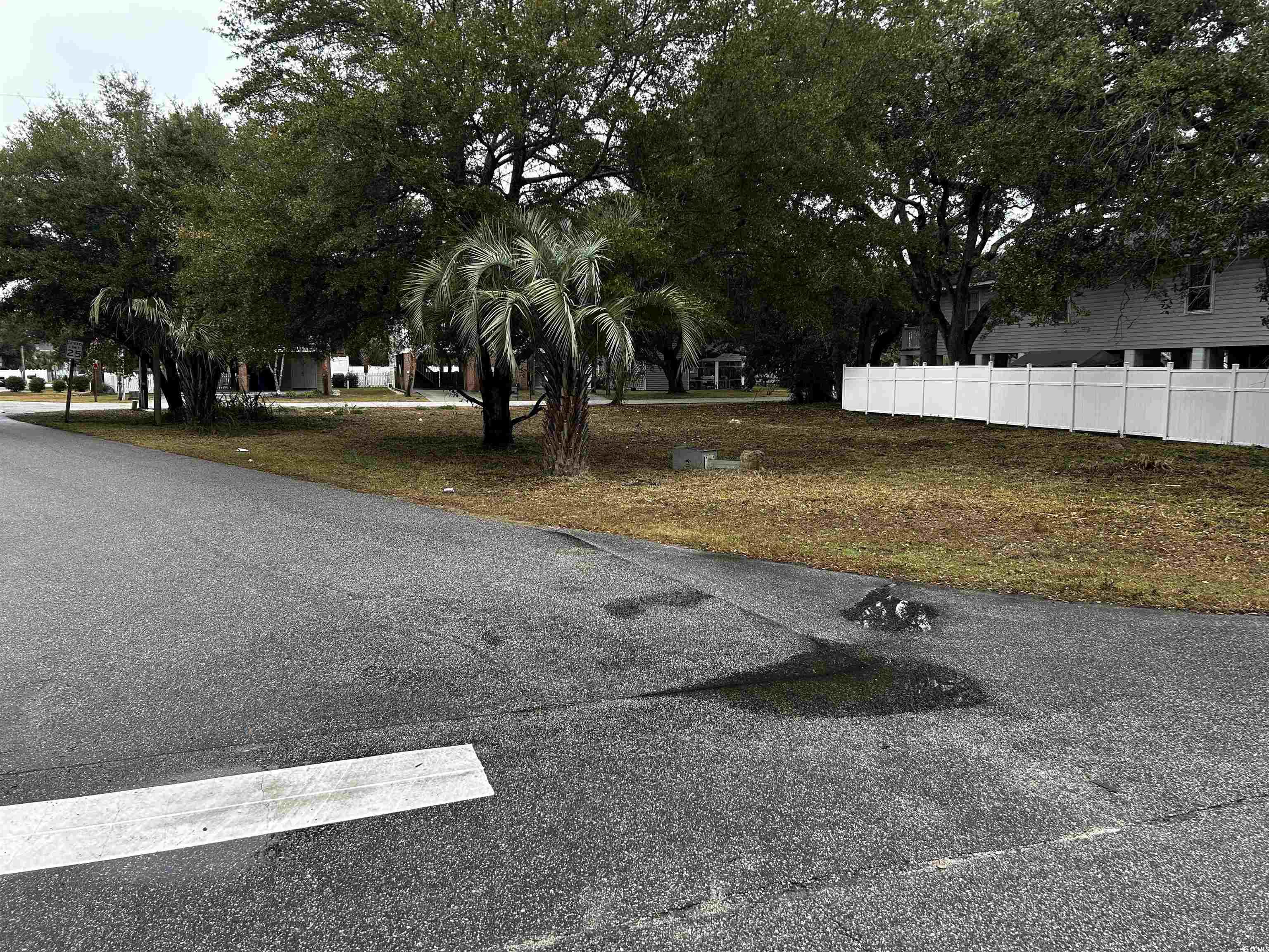 119 6th Avenue North Surfside Beach, SC 29575 - Photo 19 of 19 View of road