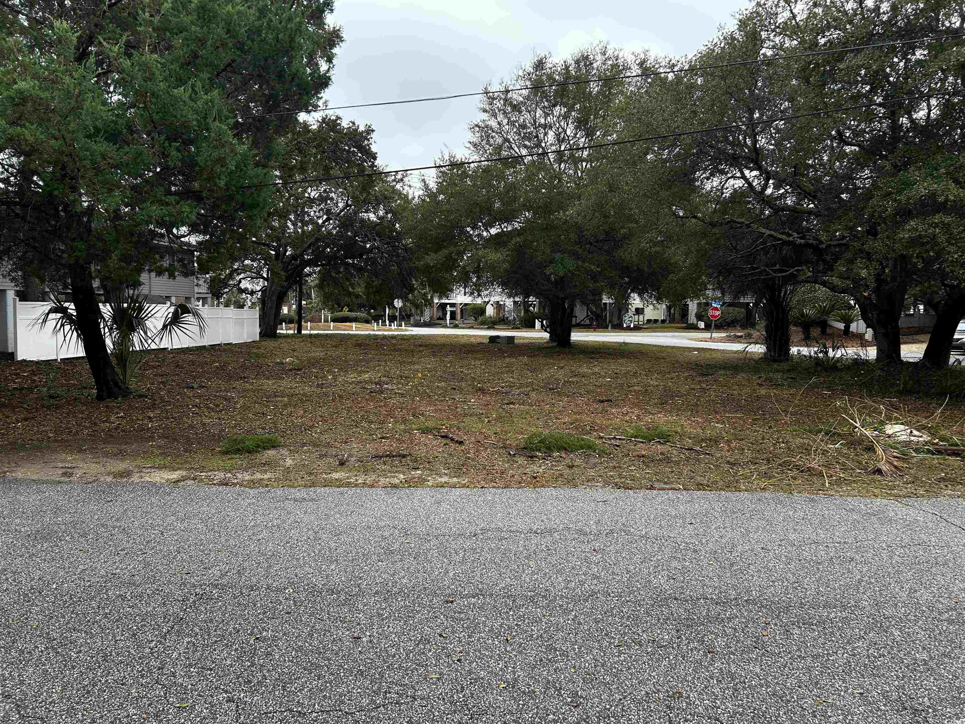 119 6th Avenue North Surfside Beach, SC 29575 - Photo 4 of 19