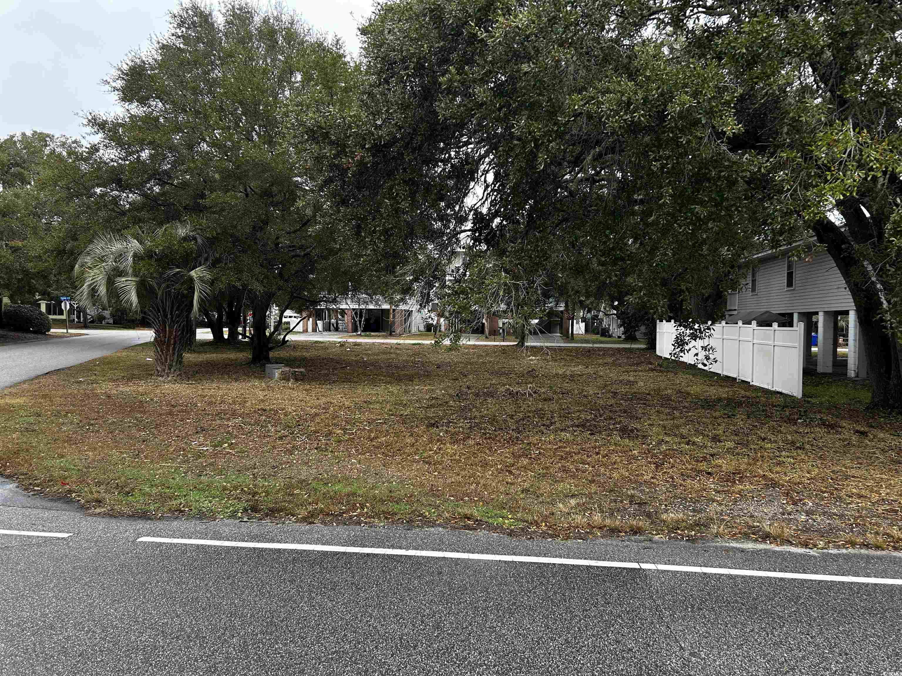 119 6th Avenue North Surfside Beach, SC 29575 - Photo 10 of 19 View of yard