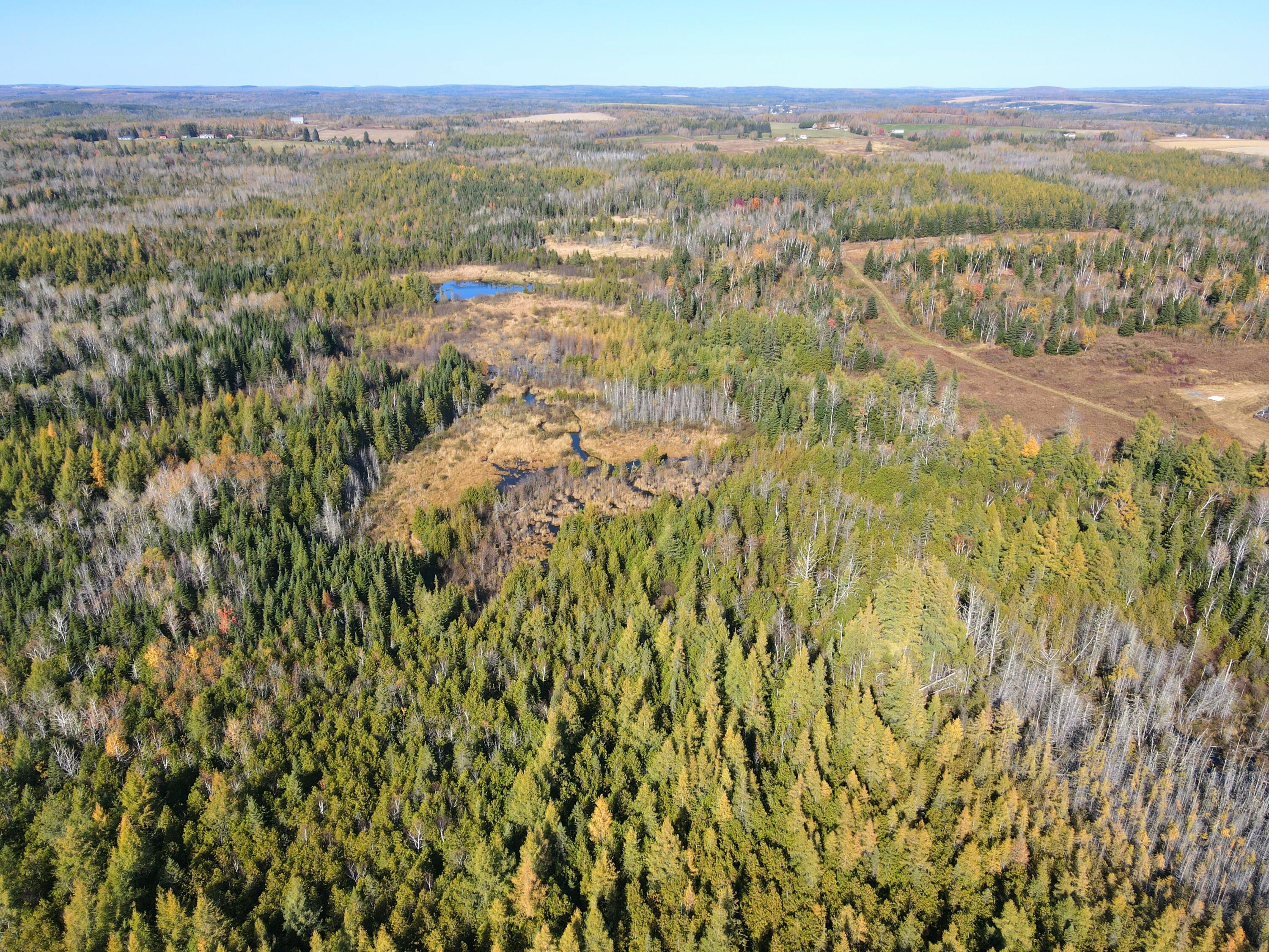 481 Plante Road Caribou, ME 04736 - Photo 13 of 13 dji_fly_20251012_134804_59_1760310378589