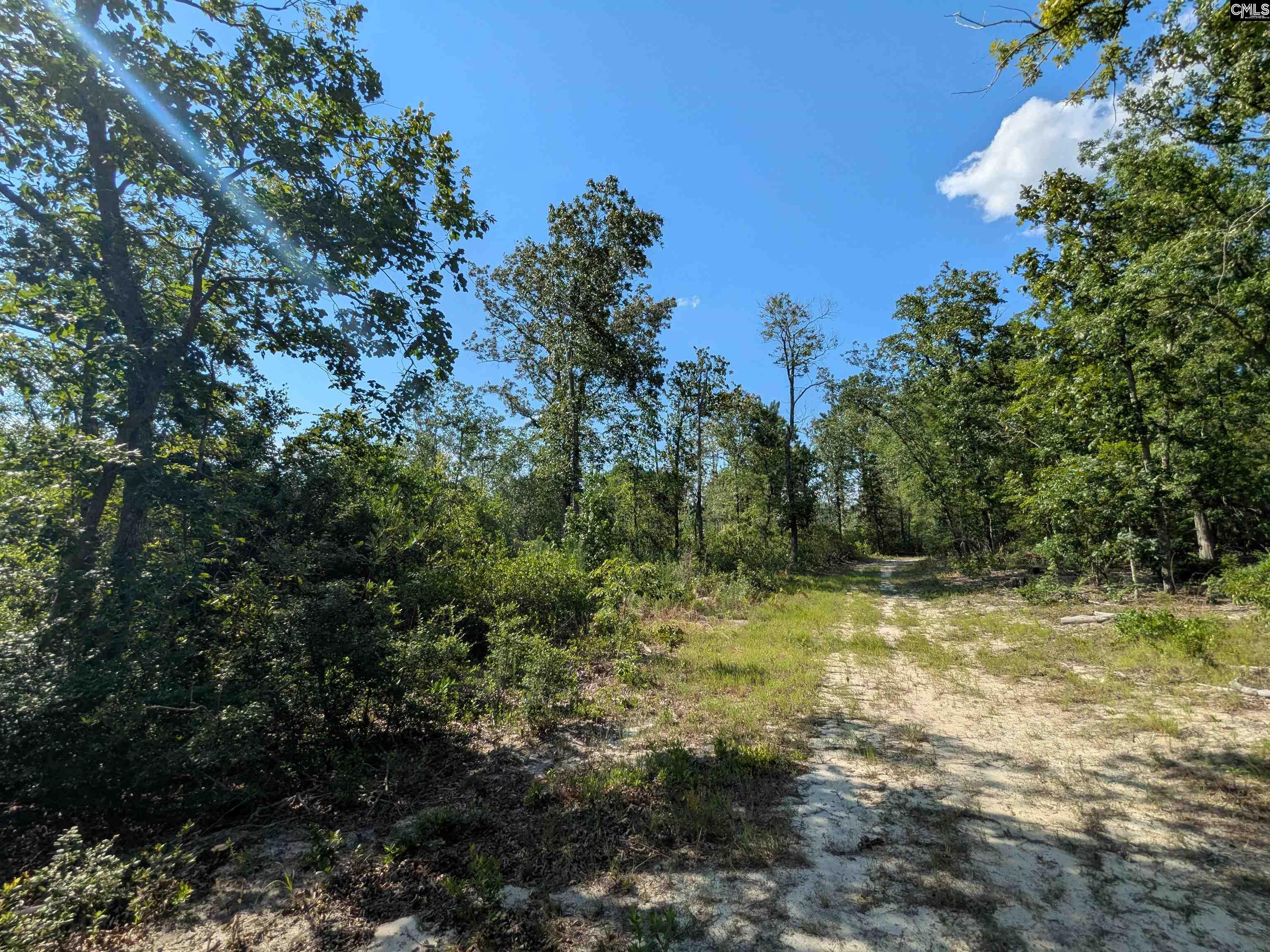 Hound Hollow Road Camden, SC 29020 - Photo 17 of 21 Gallery Image 17