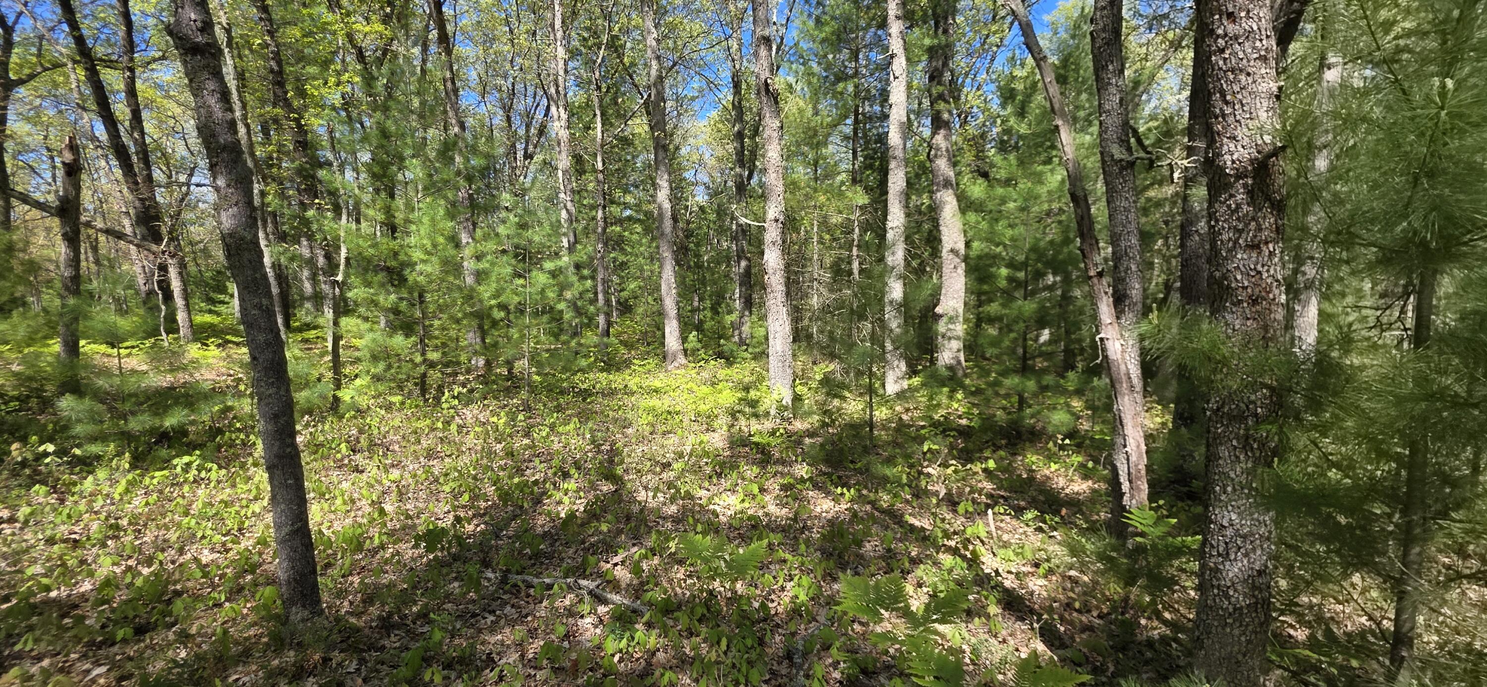 V/l East Koenig Road Free Soil, MI 49411 - Photo 11 of 14 20260529_113638