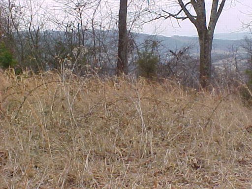 328 McDaniel Road Bean Station, TN 37708 - Photo 1 of 8 Additional Photo