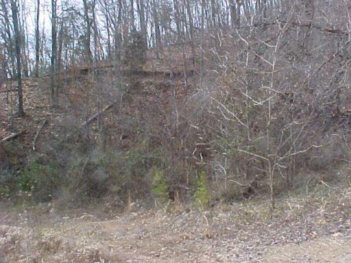 328 McDaniel Road Bean Station, TN 37708 - Photo 2 of 8 Additional Photo